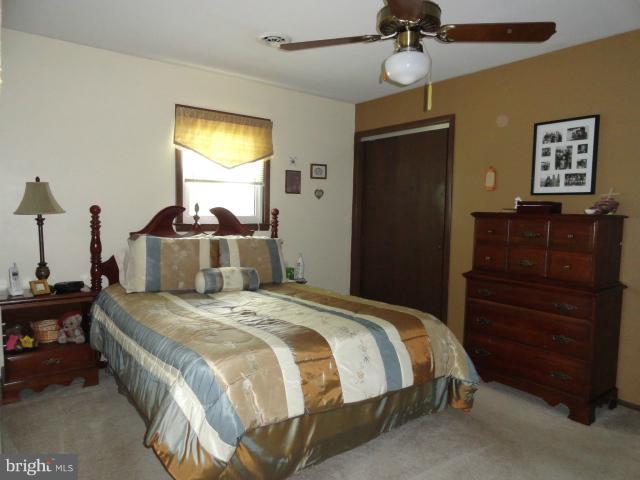 4029 Bullfrog Road Taneytown, MD 21787 - Photo 13 of 30 Bedroom (Master)