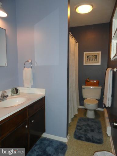 4029 Bullfrog Road Taneytown, MD 21787 - Photo 24 of 30 Bath