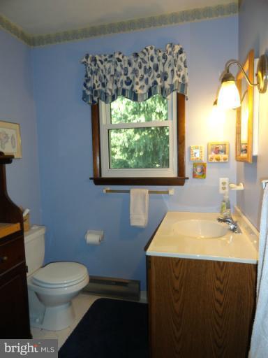 4029 Bullfrog Road Taneytown, MD 21787 - Photo 25 of 30 Bath (Master)