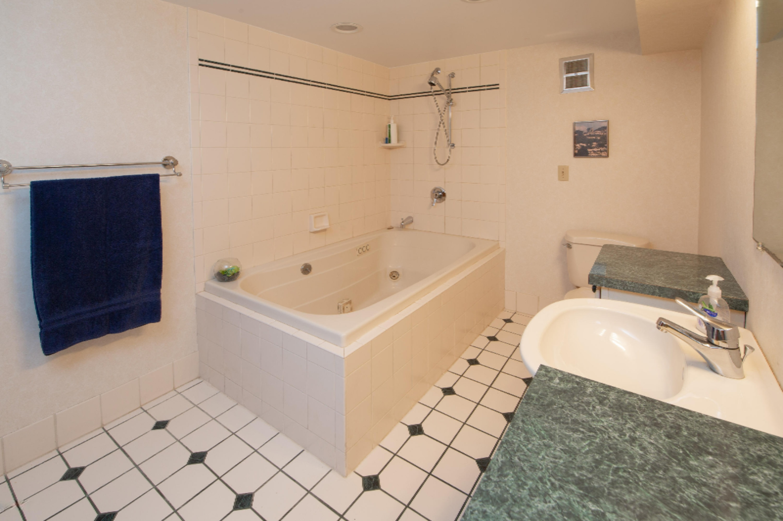 645 East Ridge Circle Kalamazoo, MI 49009 - Photo 23 of 35 645_E_Ridge_Circle-22