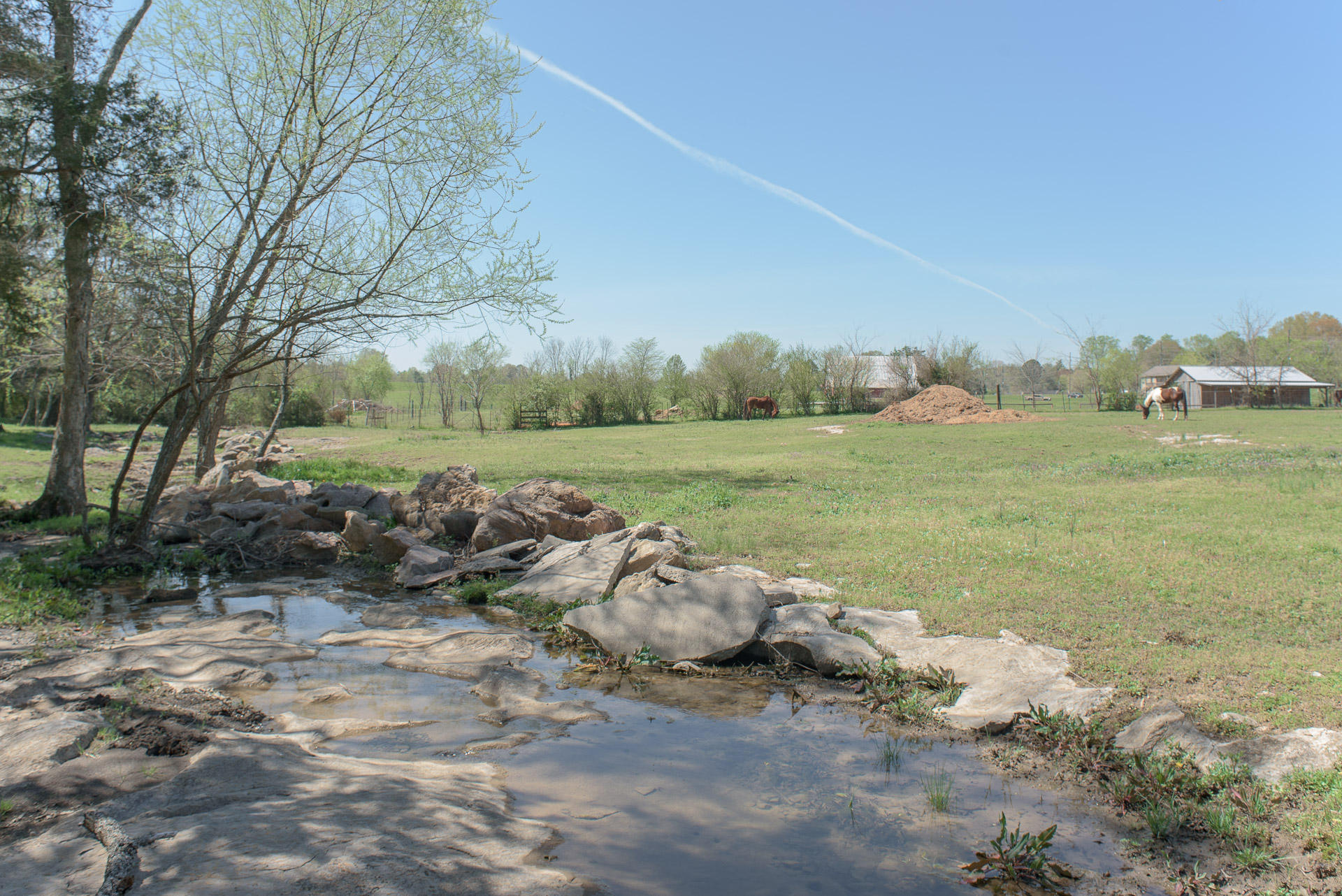 891 Durkee Road Southeast Cleveland, TN 37323 - Photo 39 of 41 Creek