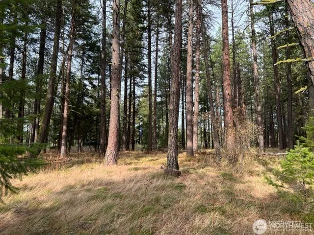 $750,000 | -xxx Xxx Unknown, Cle Elum, WA 98922