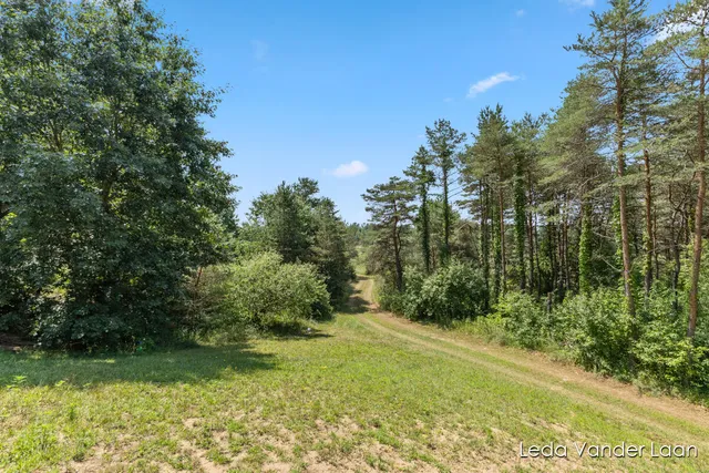 $565,000 | 7385 14 Mile Road Northeast, Cedar Springs, MI 49319