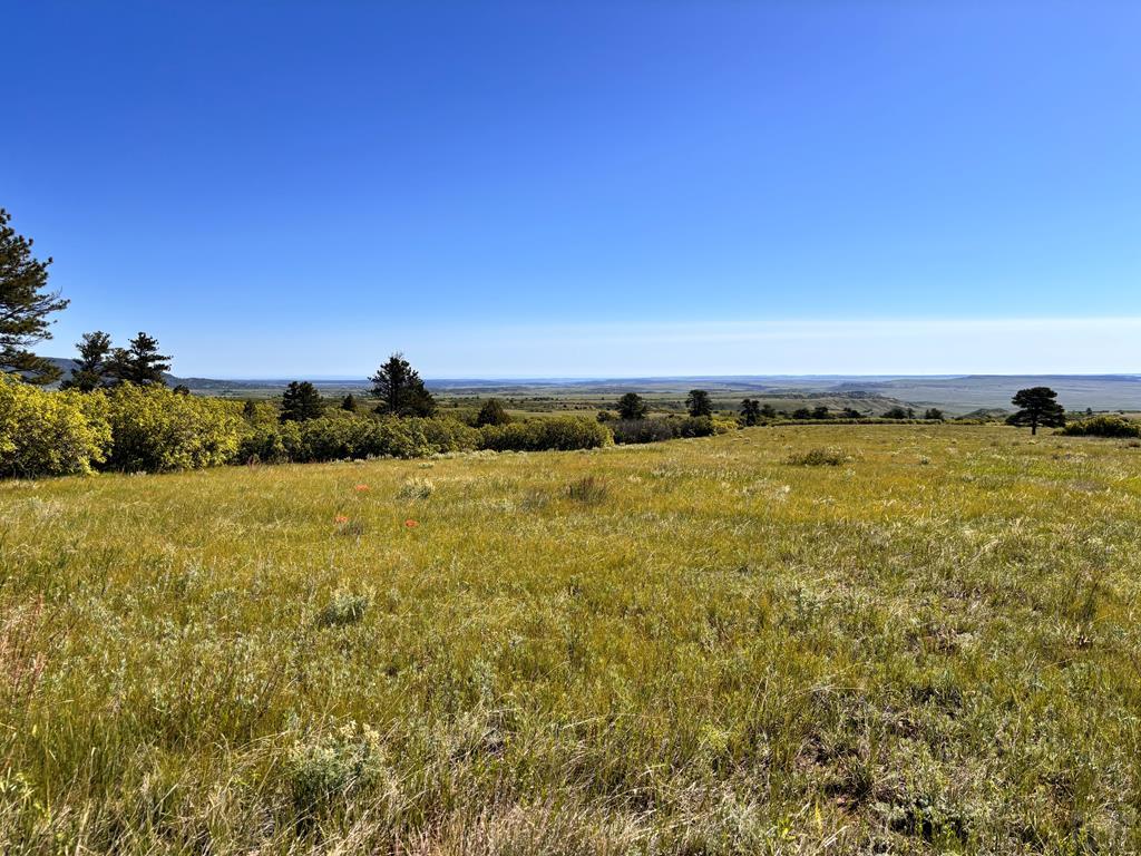 1445 County Road 671 Rye, CO 81069 - Photo 29 of 36