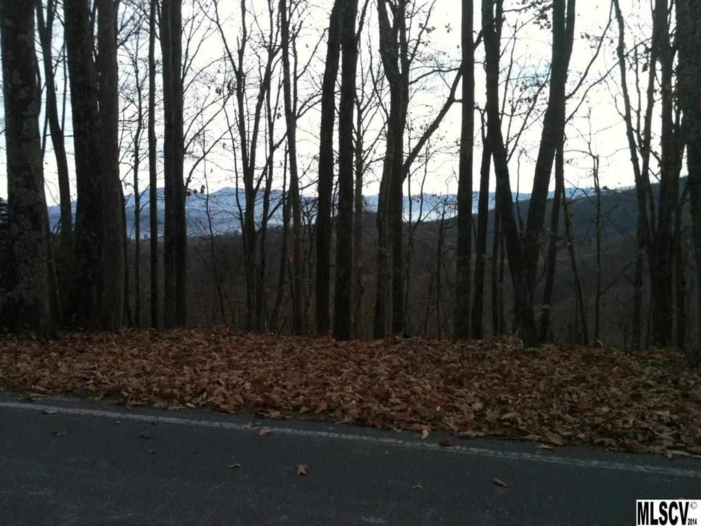 819 Pine Ridge Road Beech Mountain, NC 28604 - Photo 18 of 35