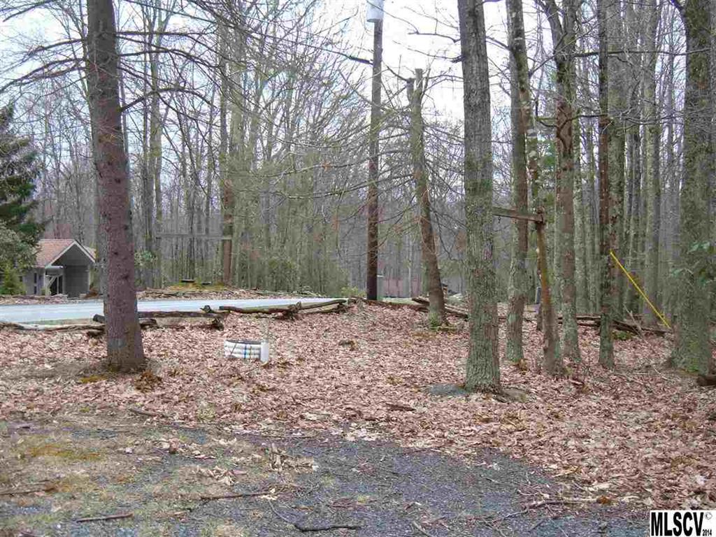 819 Pine Ridge Road Beech Mountain, NC 28604 - Photo 20 of 35
