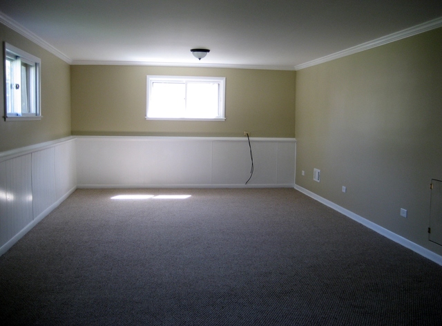 582 Riedy Road Lisle, IL 60532 - Photo 4 of 23 an empty room with windows