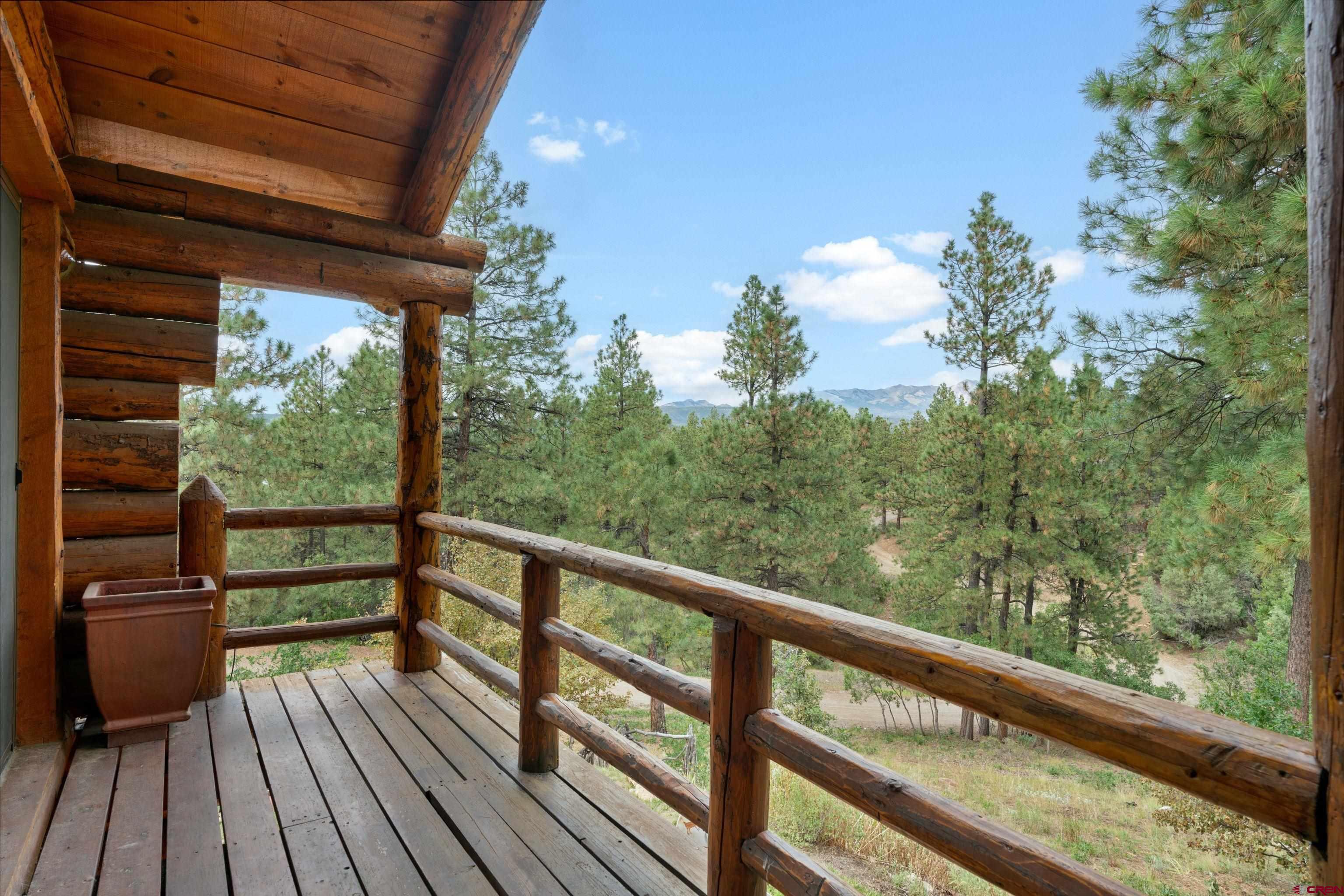 256 Browns Lake Road Durango, CO 81303 - Photo 25 of 41