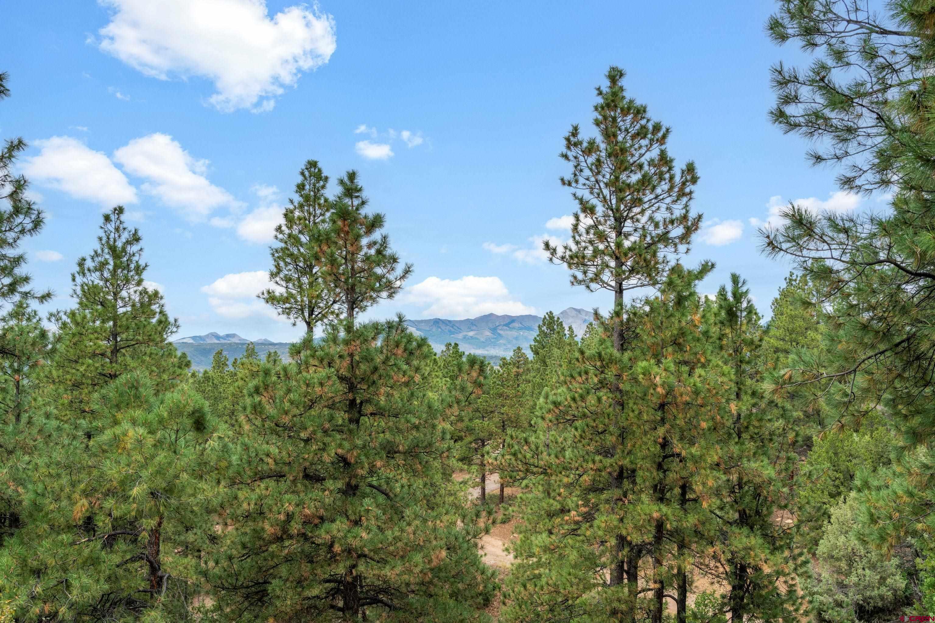 256 Browns Lake Road Durango, CO 81303 - Photo 40 of 41