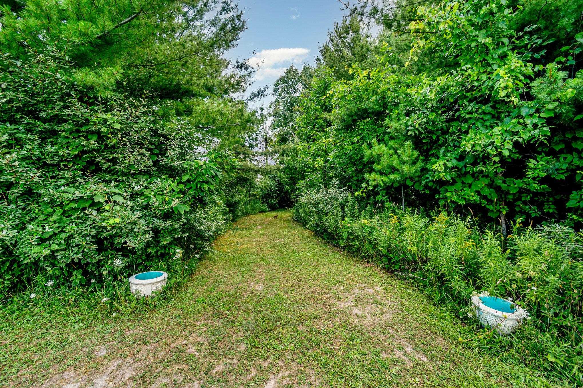 0 Clark Road Prescott, MI 48756 - Photo 2 of 17