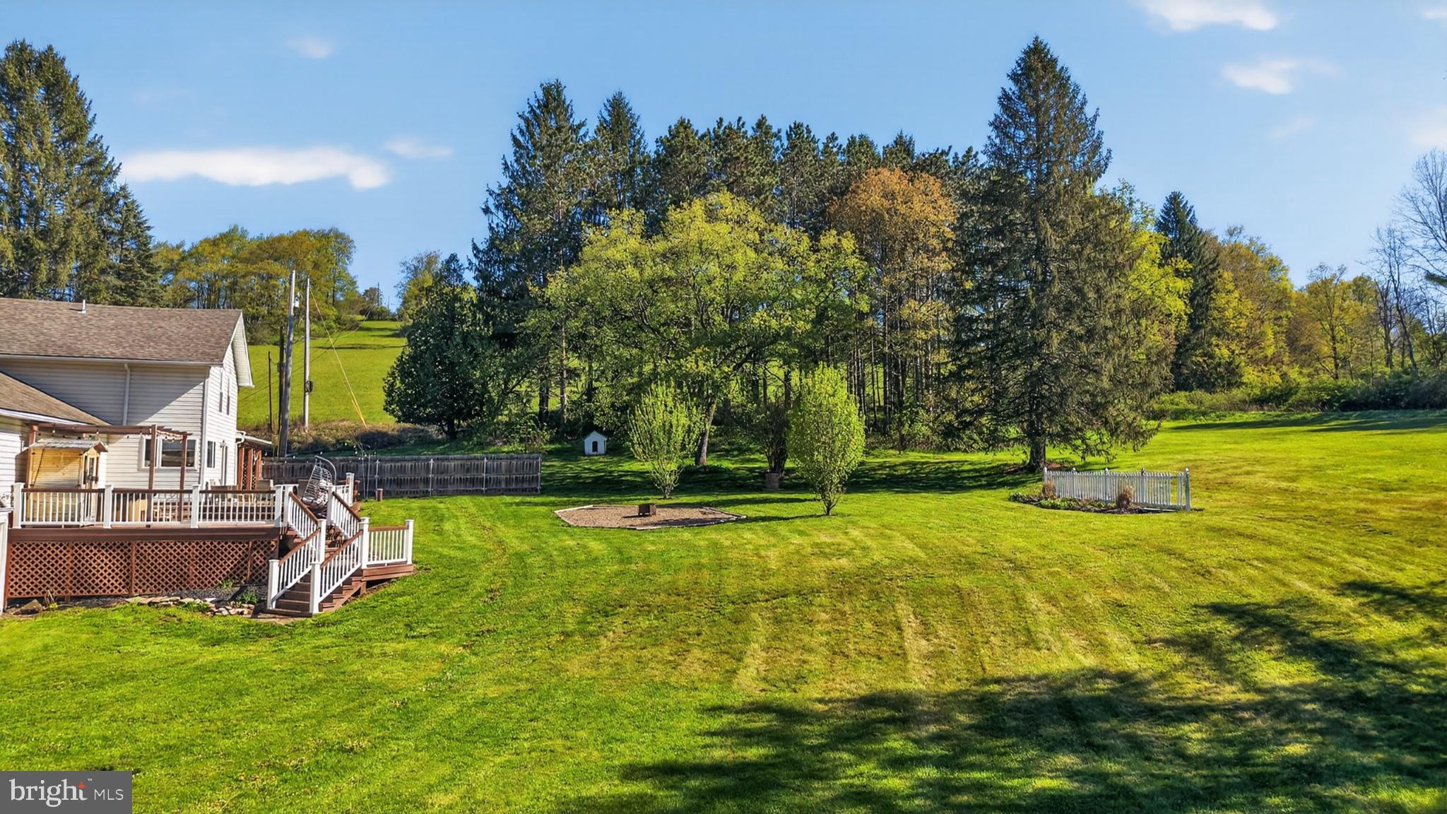 259 A A-Frame Road Coudersport, PA 16915 - Photo 65 of 130 Spacious yard with lush greenery.