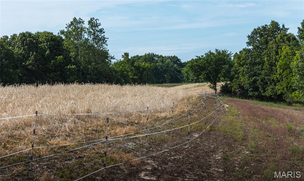 1757 Infidel Hollow Road Mozier, IL 62070 - Photo 42 of 52