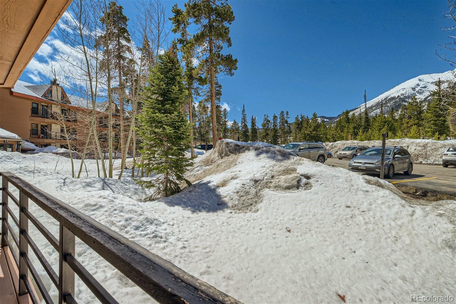 89100 Ryan Gulch Road, Unit 206 Silverthorne, CO 80498 - Photo 14 of 17