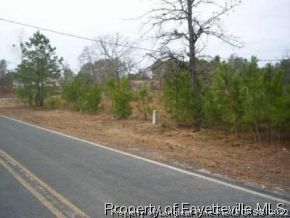 Lot#2 Brooks Mangum Road Cameron, NC 28326 - Photo 5 of 8 Gallery Image 5