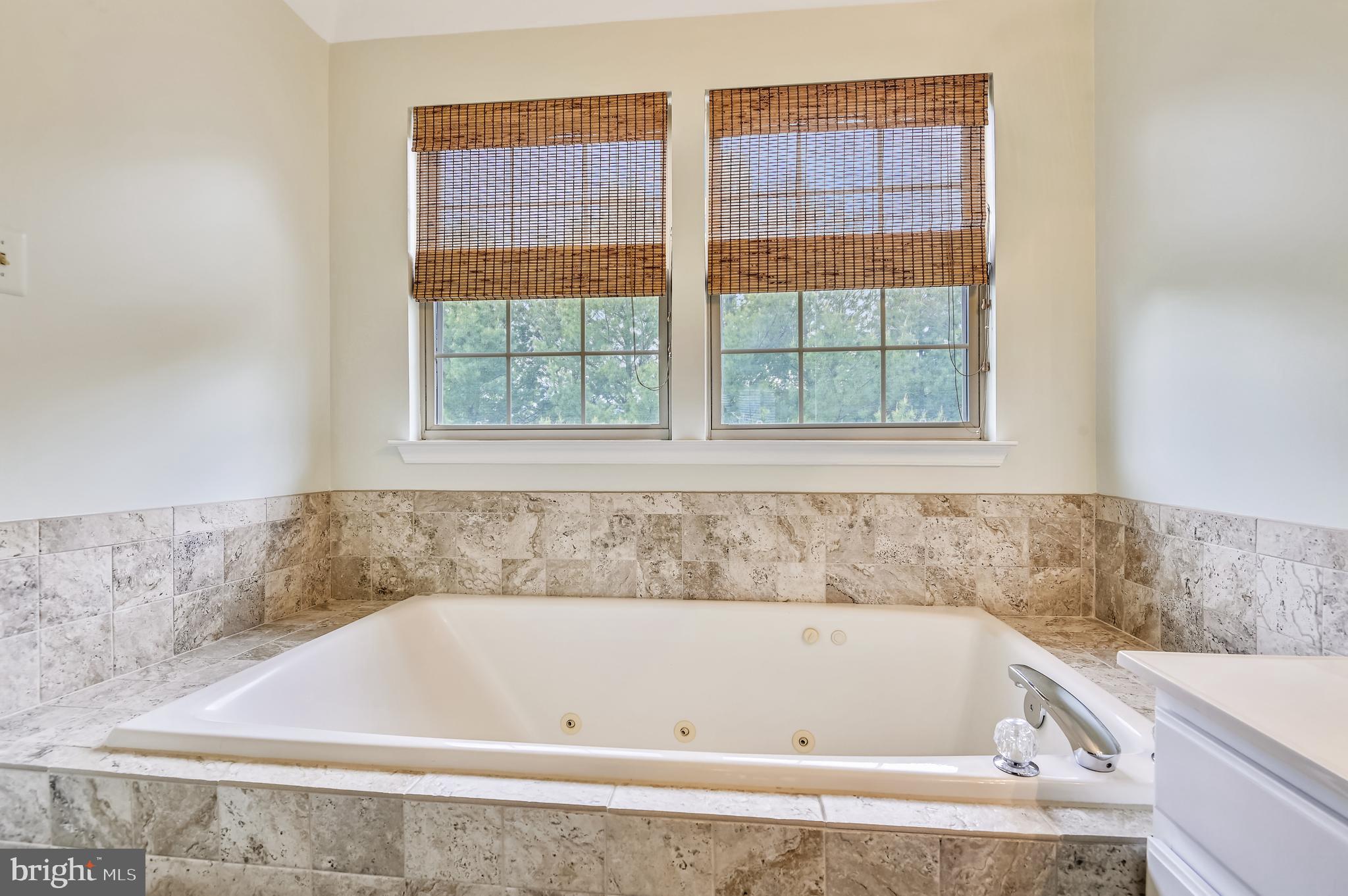 21 Bank Spring Court Owings Mills, MD 21117 - Photo 18 of 31 Master Bath With Jetted Tub