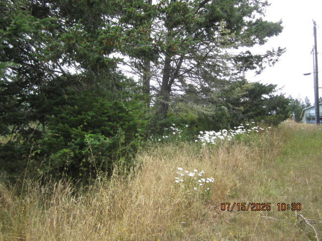 88 Shaker Road Shelter Cove, CA 95589 - Photo 16 of 27 IMG_9694