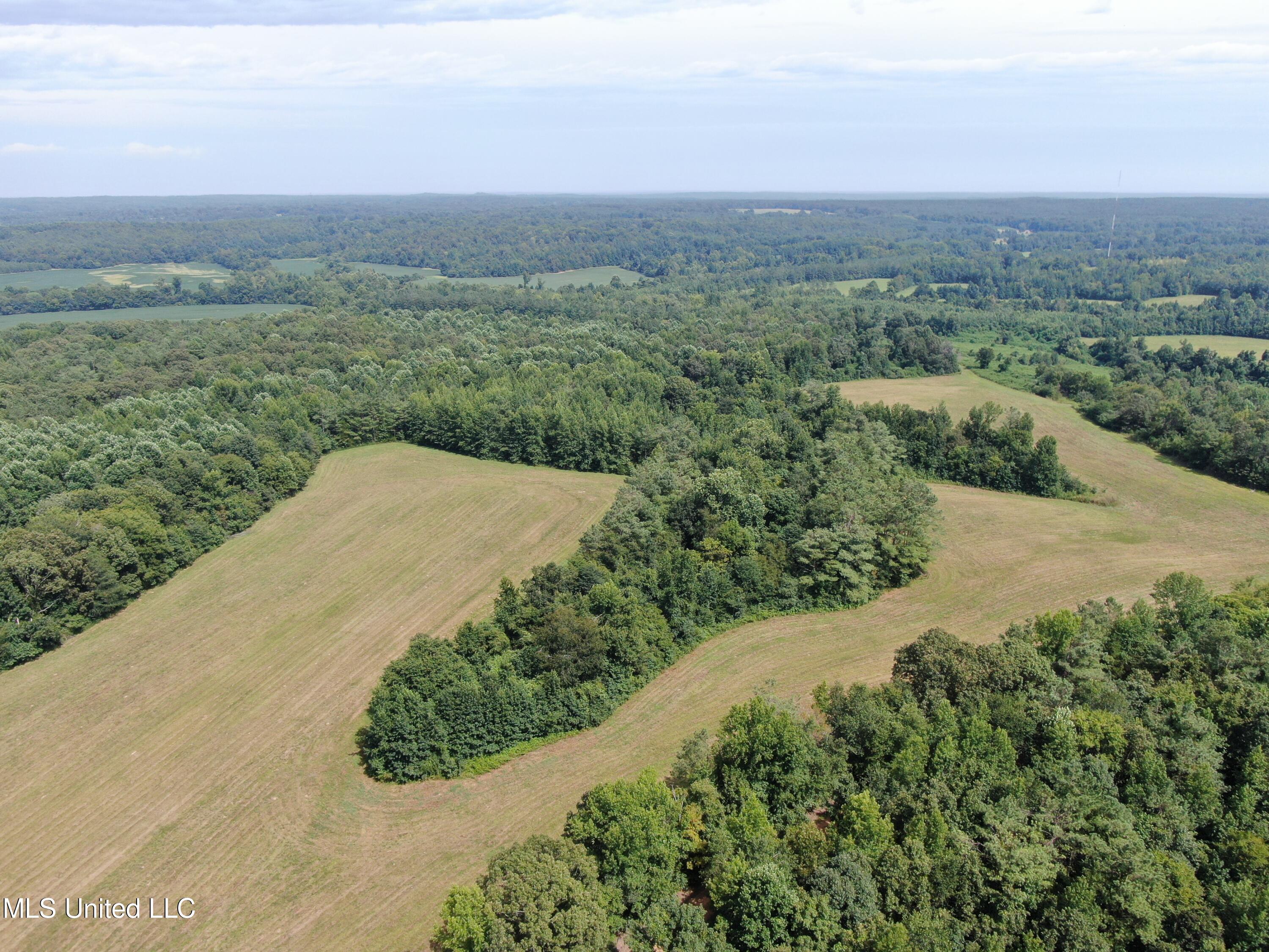 1000 Yarbrough Chapel Road Holly Springs, MS 38635 - Photo 1 of 50 land