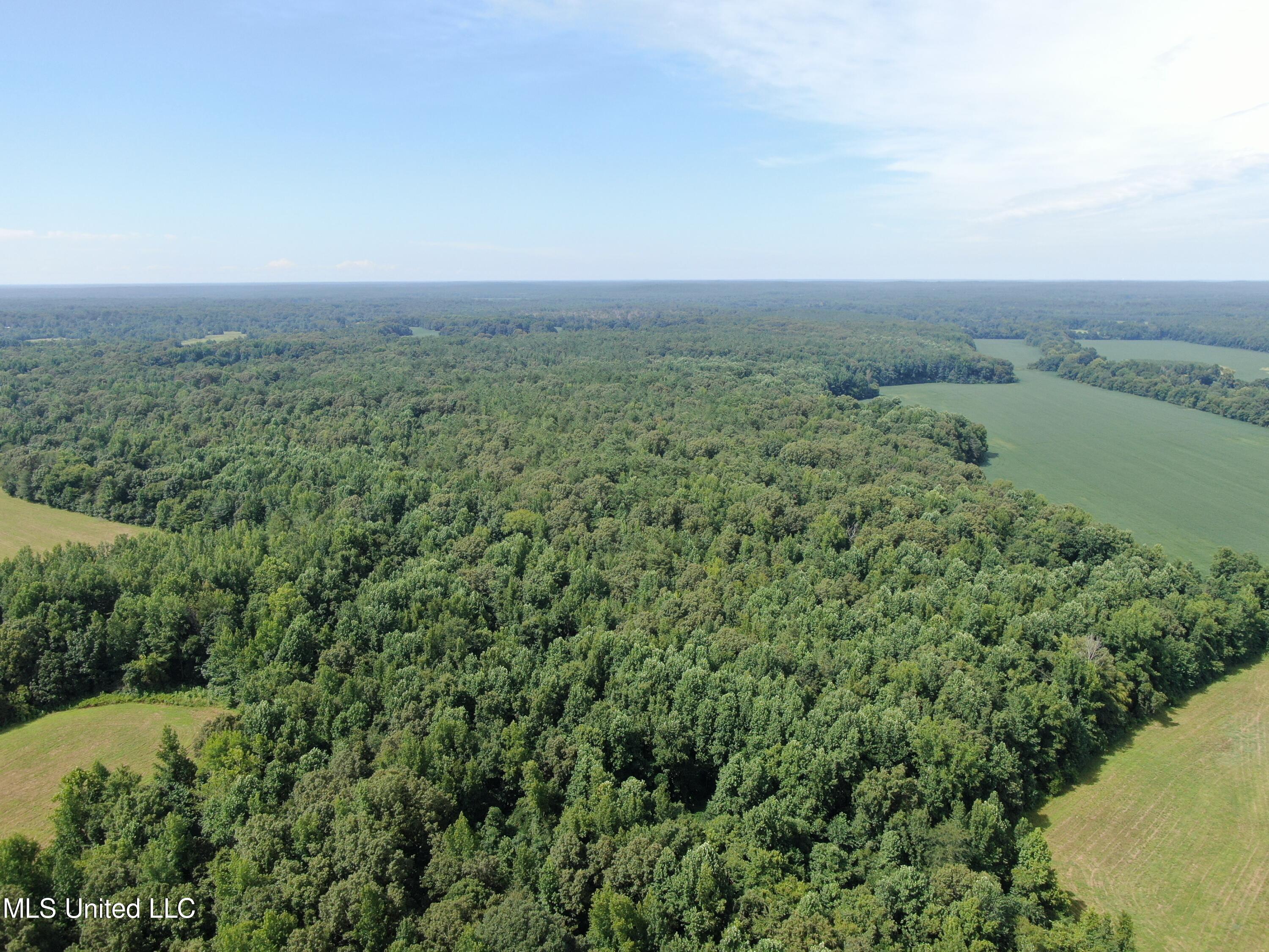 1000 Yarbrough Chapel Road Holly Springs, MS 38635 - Photo 11 of 50 DJI_0997