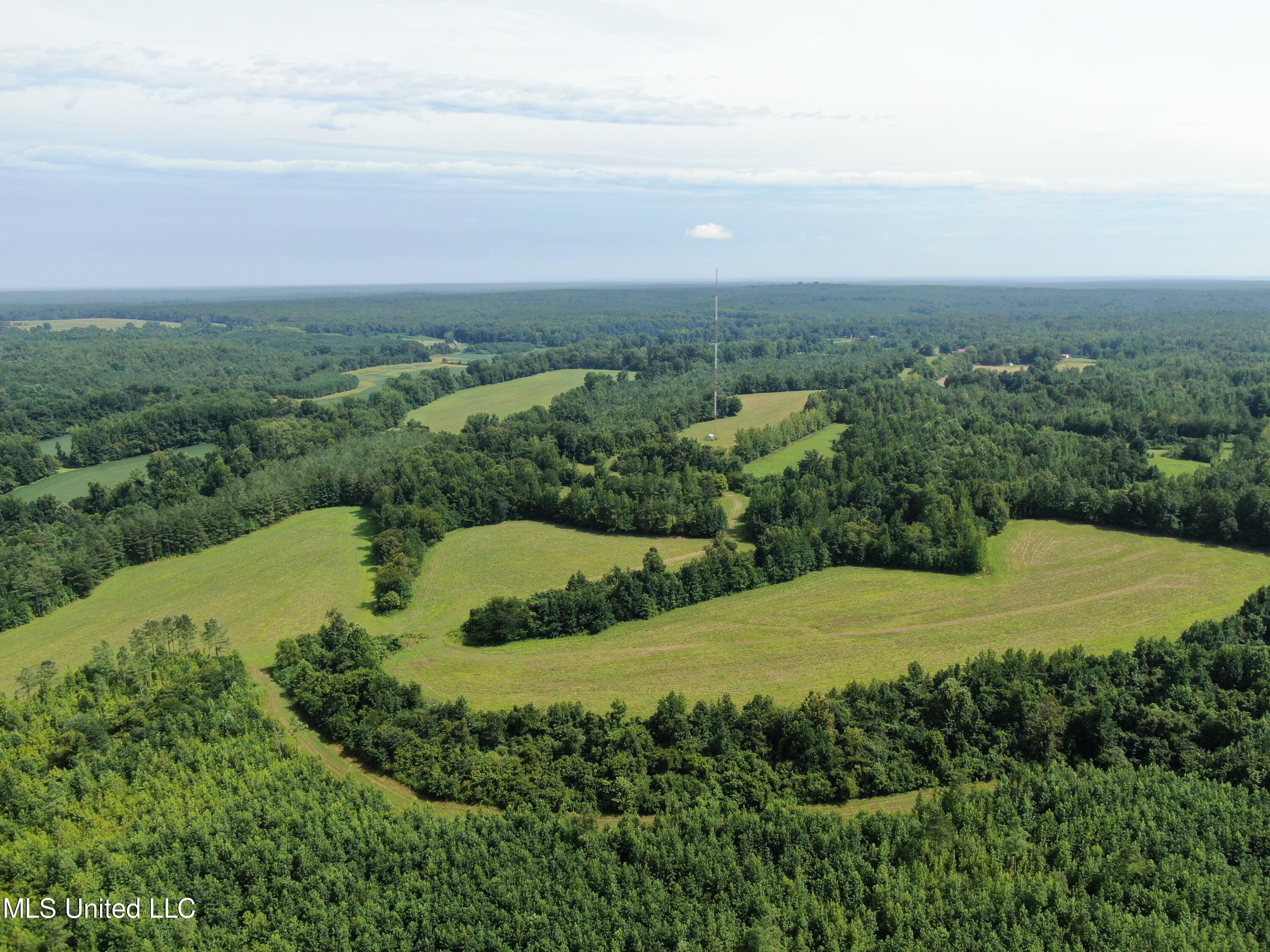 1000 Yarbrough Chapel Road Holly Springs, MS 38635 - Photo 12 of 50 DJI_0998
