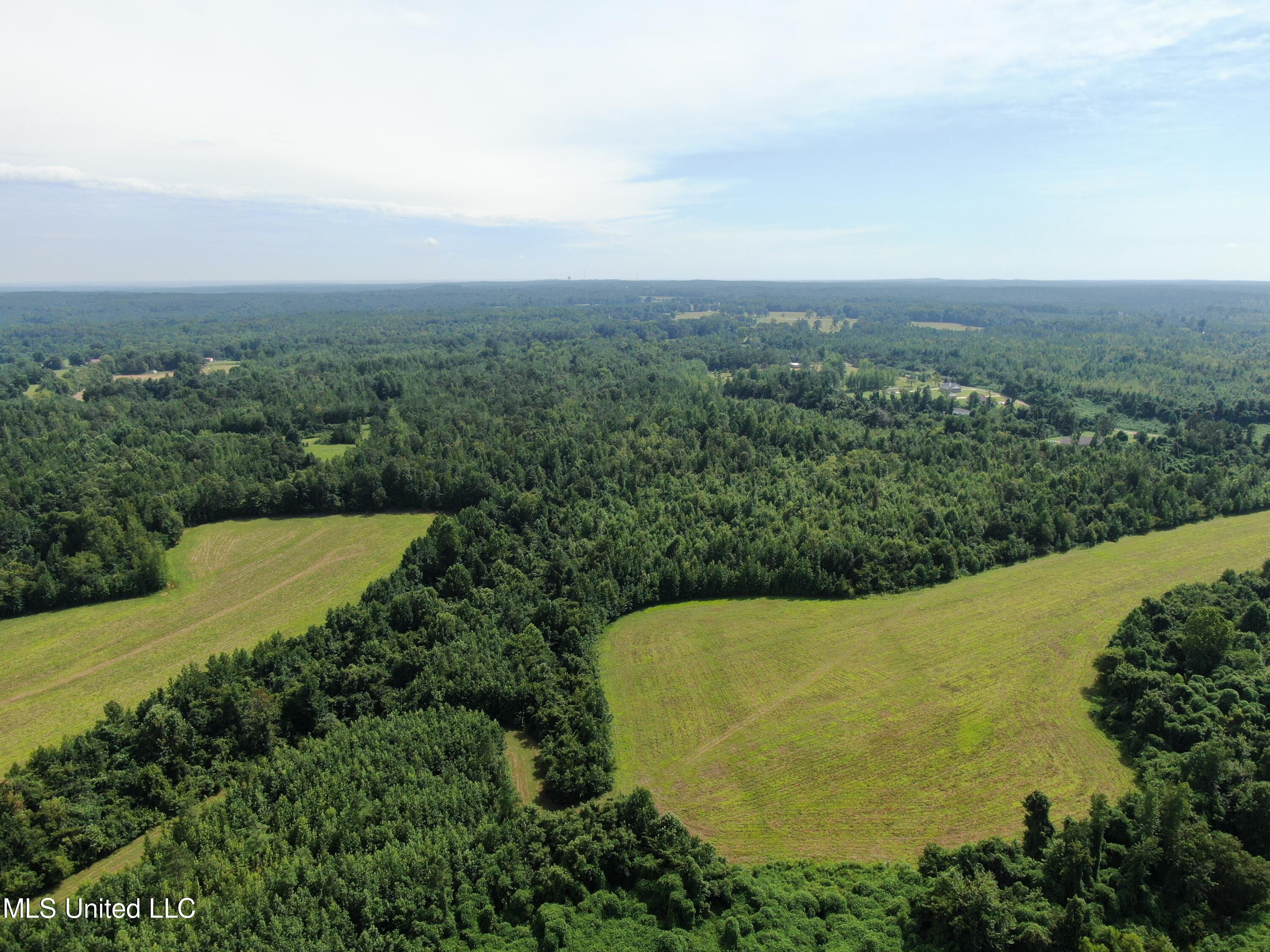 1000 Yarbrough Chapel Road Holly Springs, MS 38635 - Photo 13 of 50 DJI_0999