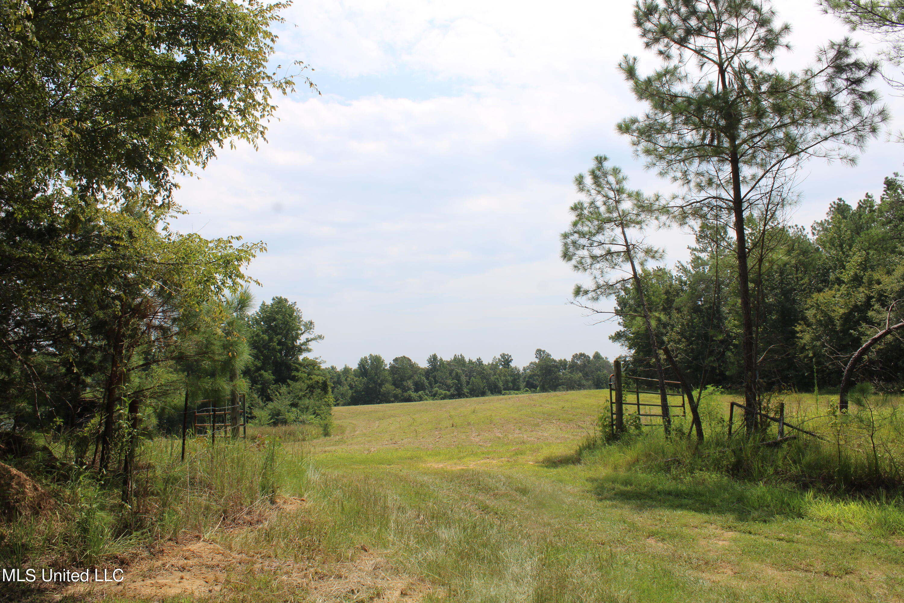 1000 Yarbrough Chapel Road Holly Springs, MS 38635 - Photo 14 of 50 IMG_1831