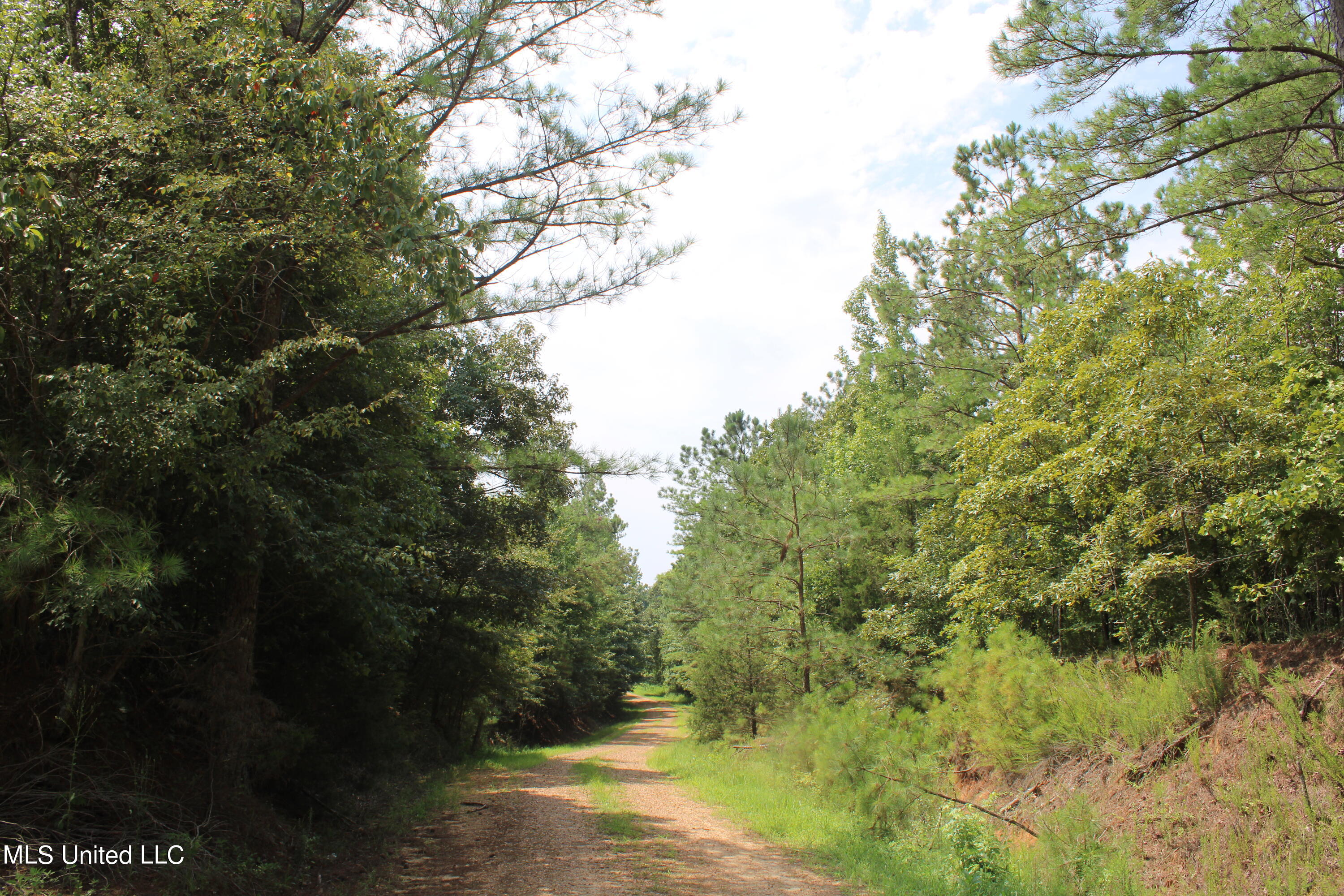 1000 Yarbrough Chapel Road Holly Springs, MS 38635 - Photo 15 of 50 IMG_1832