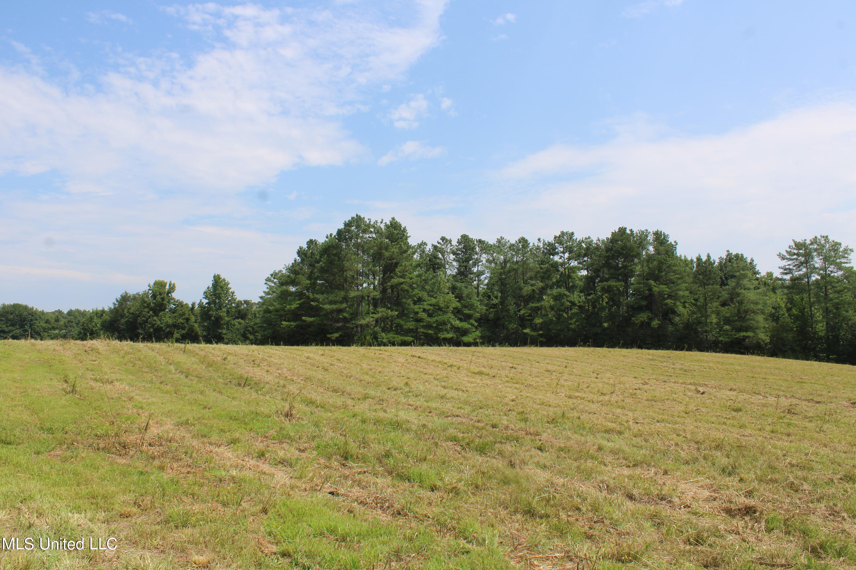 1000 Yarbrough Chapel Road Holly Springs, MS 38635 - Photo 17 of 50 IMG_1835