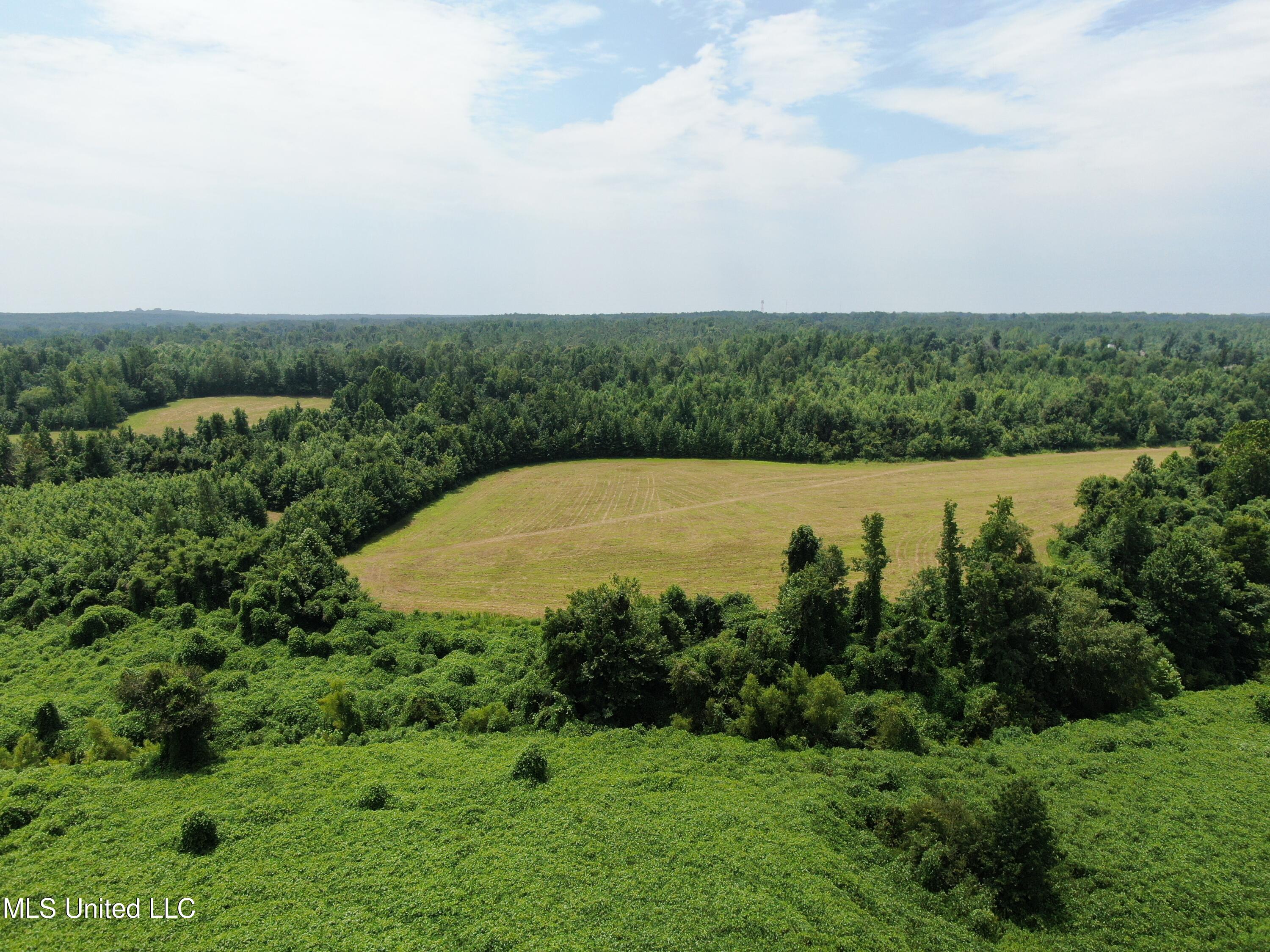 1000 Yarbrough Chapel Road Holly Springs, MS 38635 - Photo 2 of 50 DJI_0931