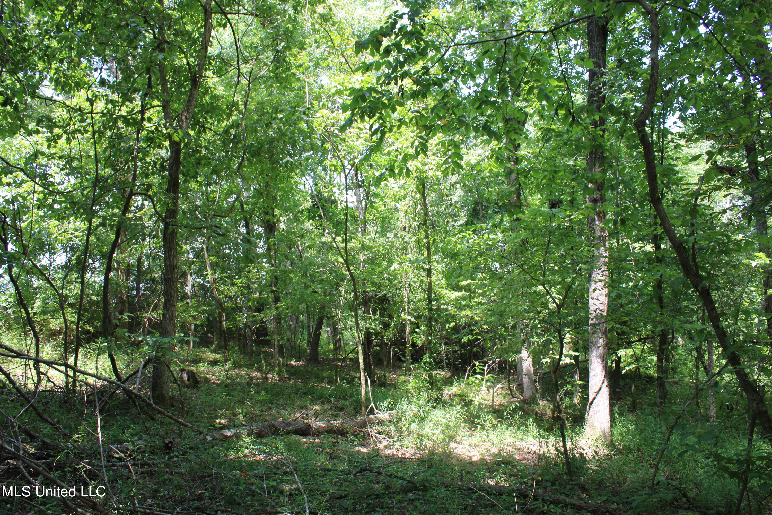 1000 Yarbrough Chapel Road Holly Springs, MS 38635 - Photo 21 of 50 IMG_1841