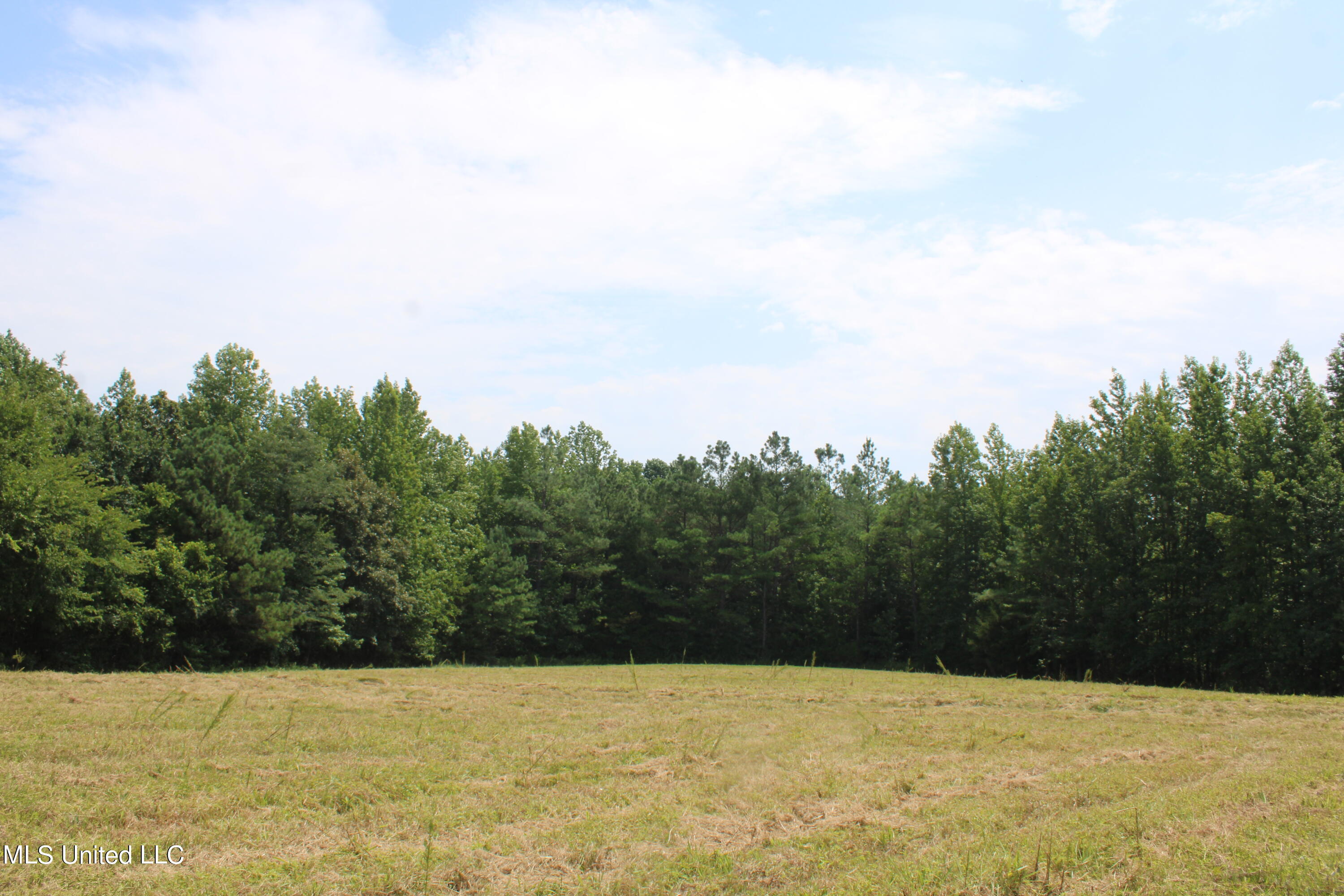 1000 Yarbrough Chapel Road Holly Springs, MS 38635 - Photo 24 of 50 IMG_1847