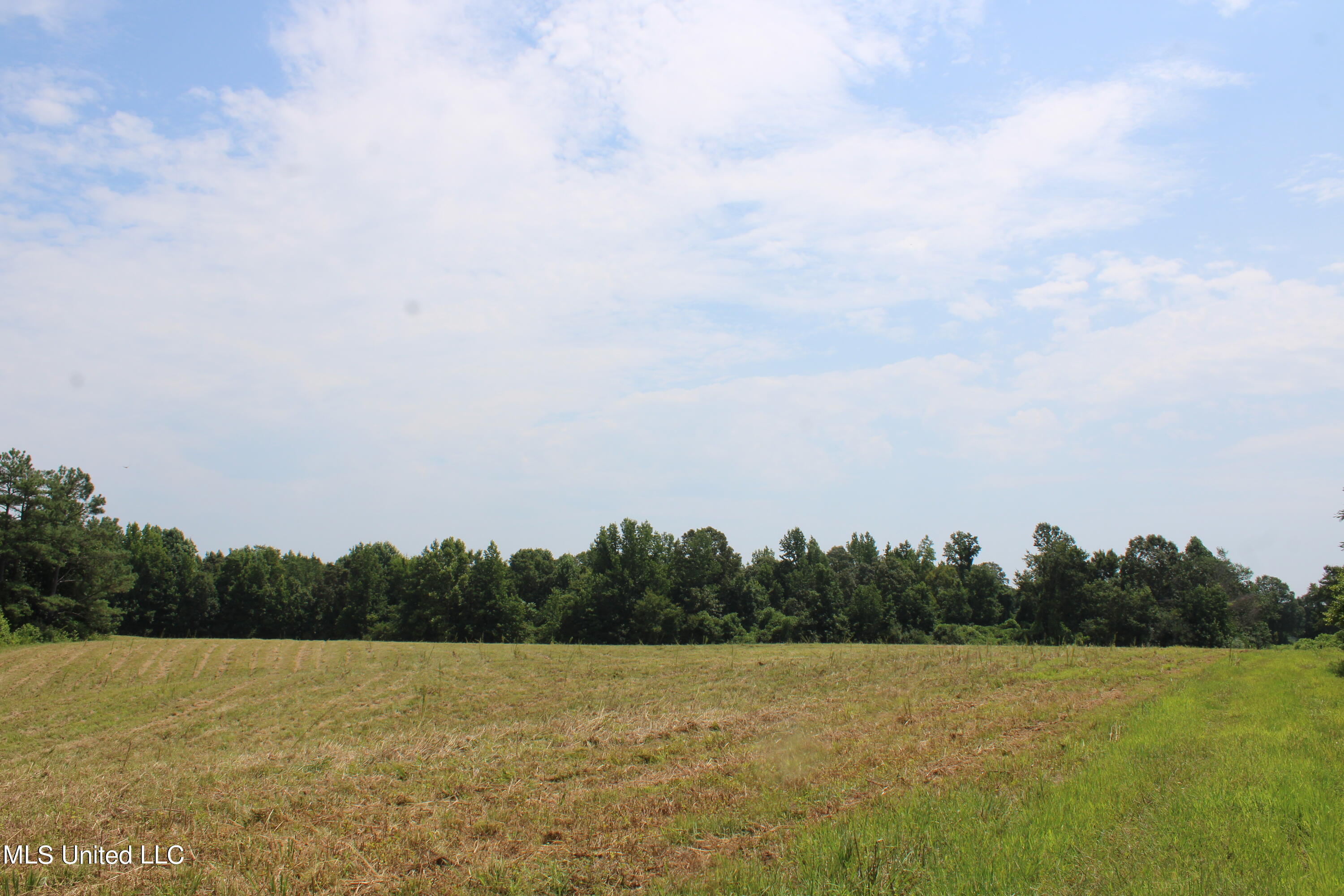 1000 Yarbrough Chapel Road Holly Springs, MS 38635 - Photo 28 of 50 IMG_1851