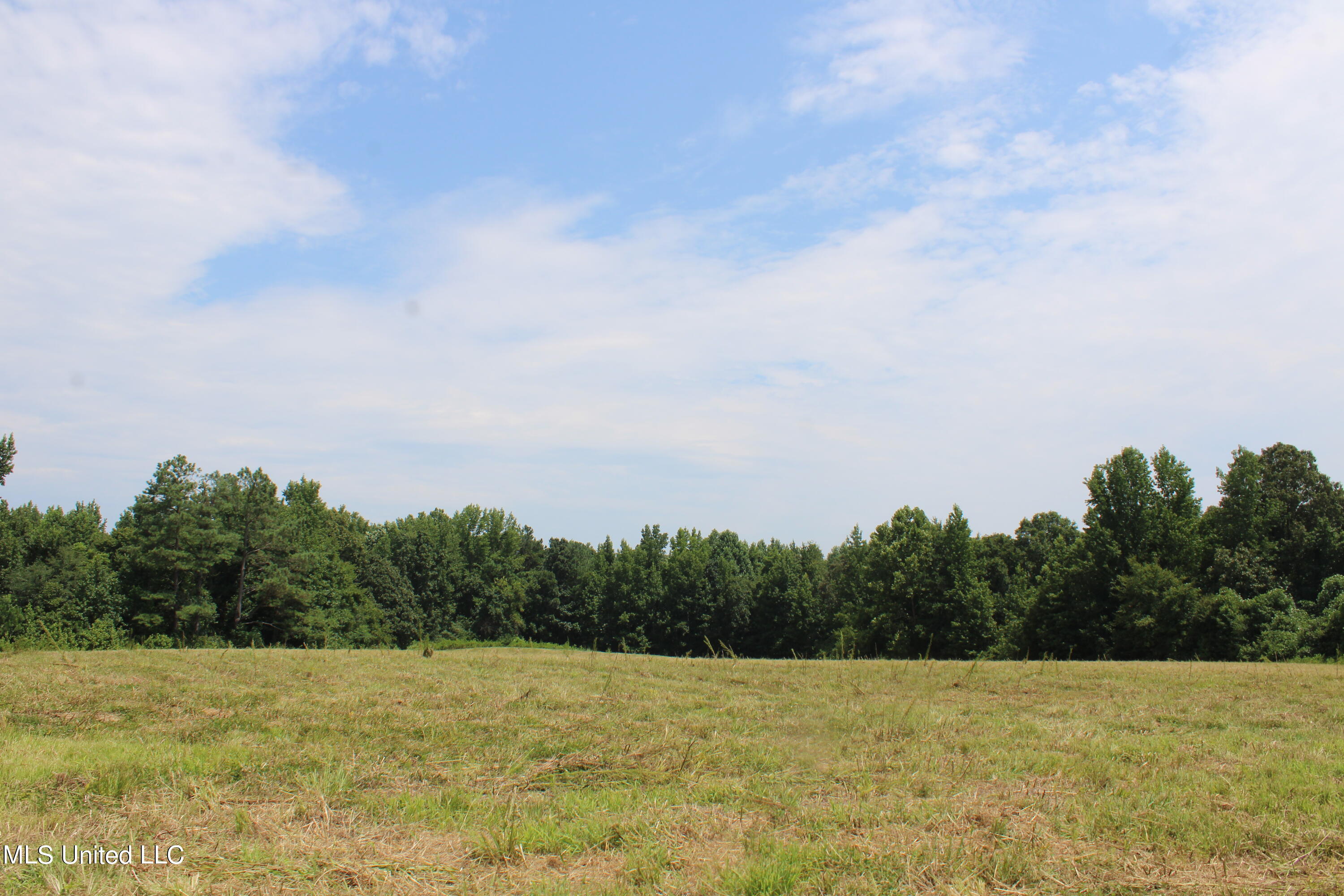 1000 Yarbrough Chapel Road Holly Springs, MS 38635 - Photo 29 of 50 IMG_1853