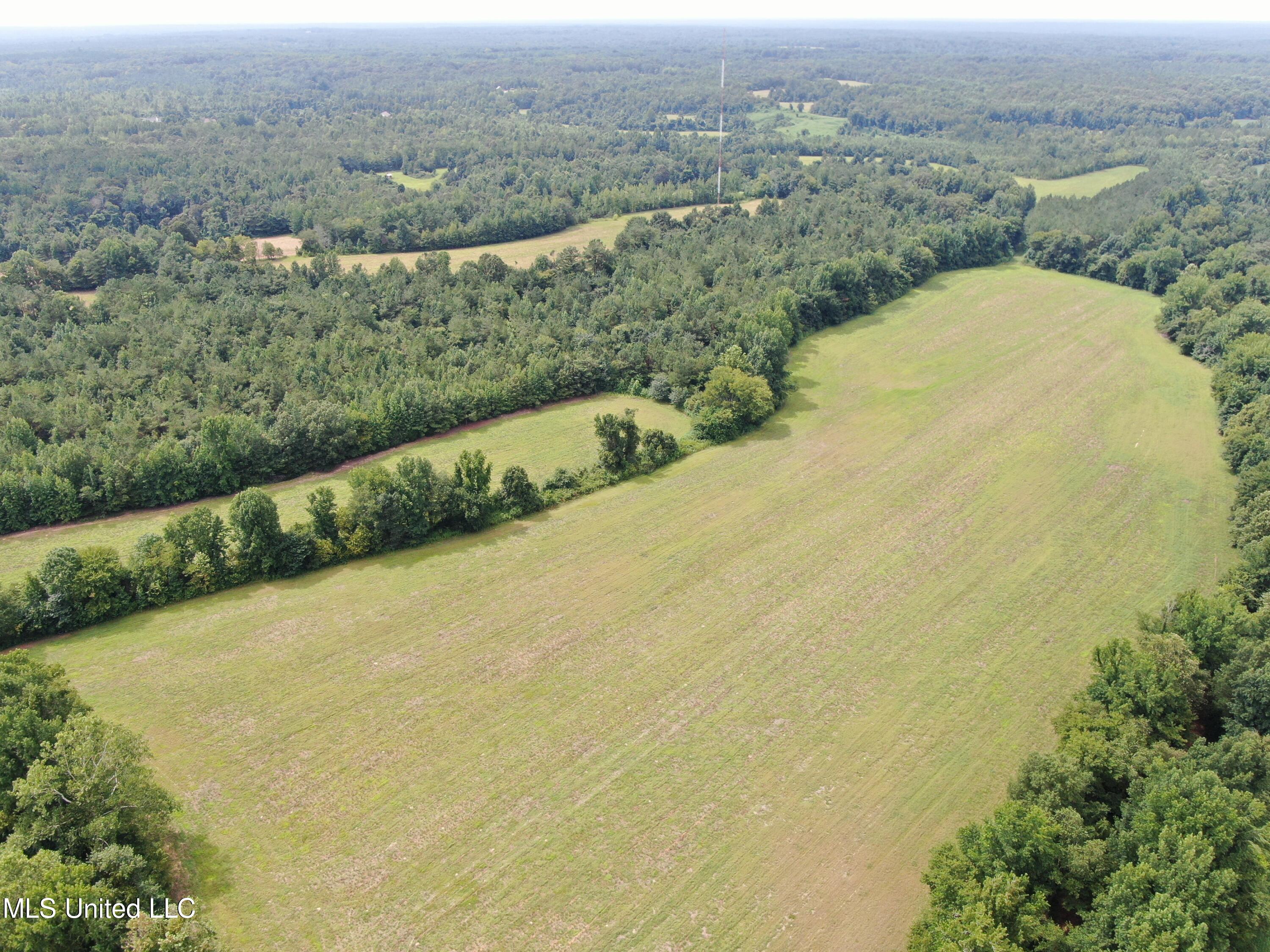 1000 Yarbrough Chapel Road Holly Springs, MS 38635 - Photo 3 of 50 DJI_0984