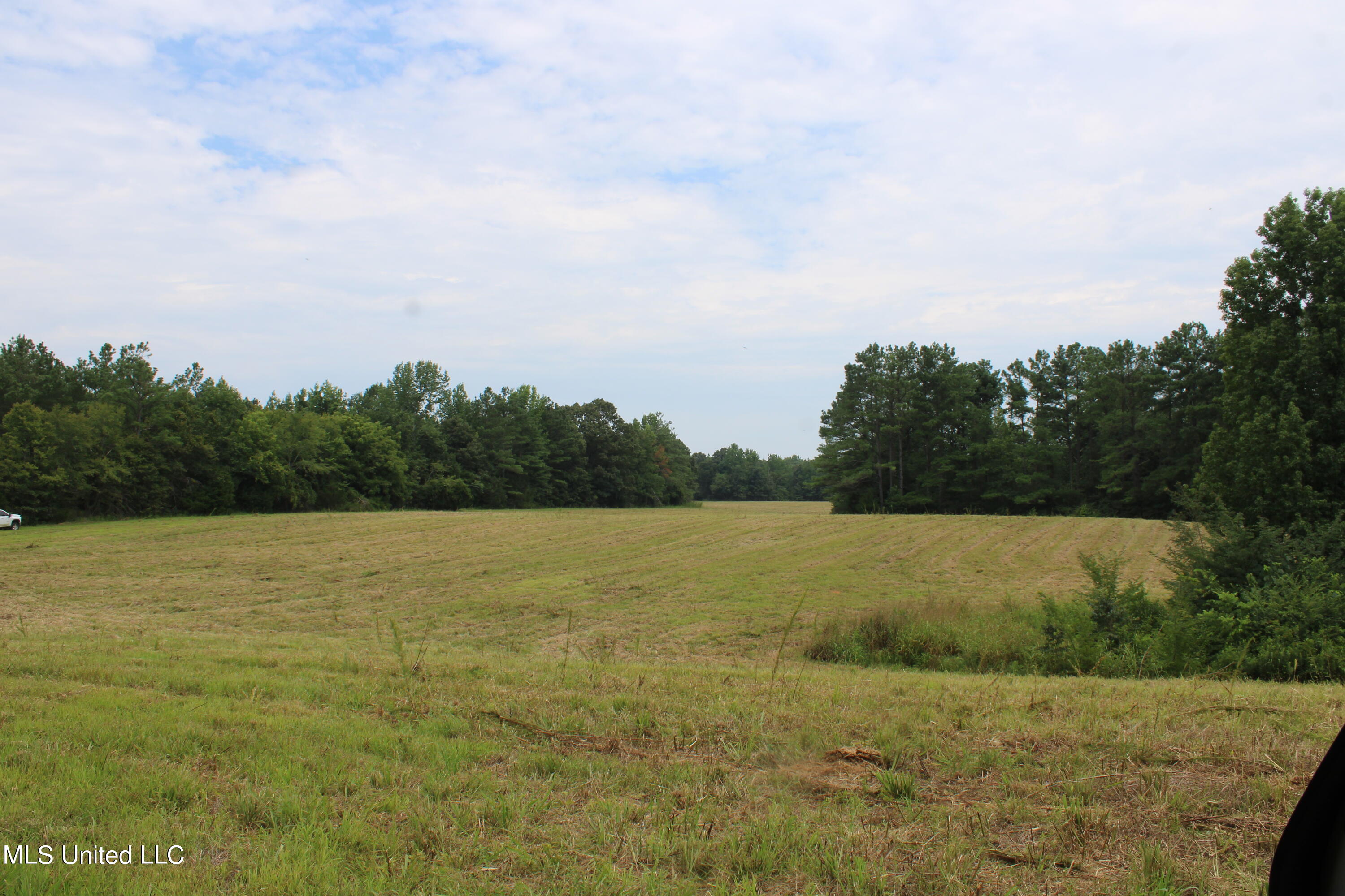 1000 Yarbrough Chapel Road Holly Springs, MS 38635 - Photo 39 of 50 IMG_1863