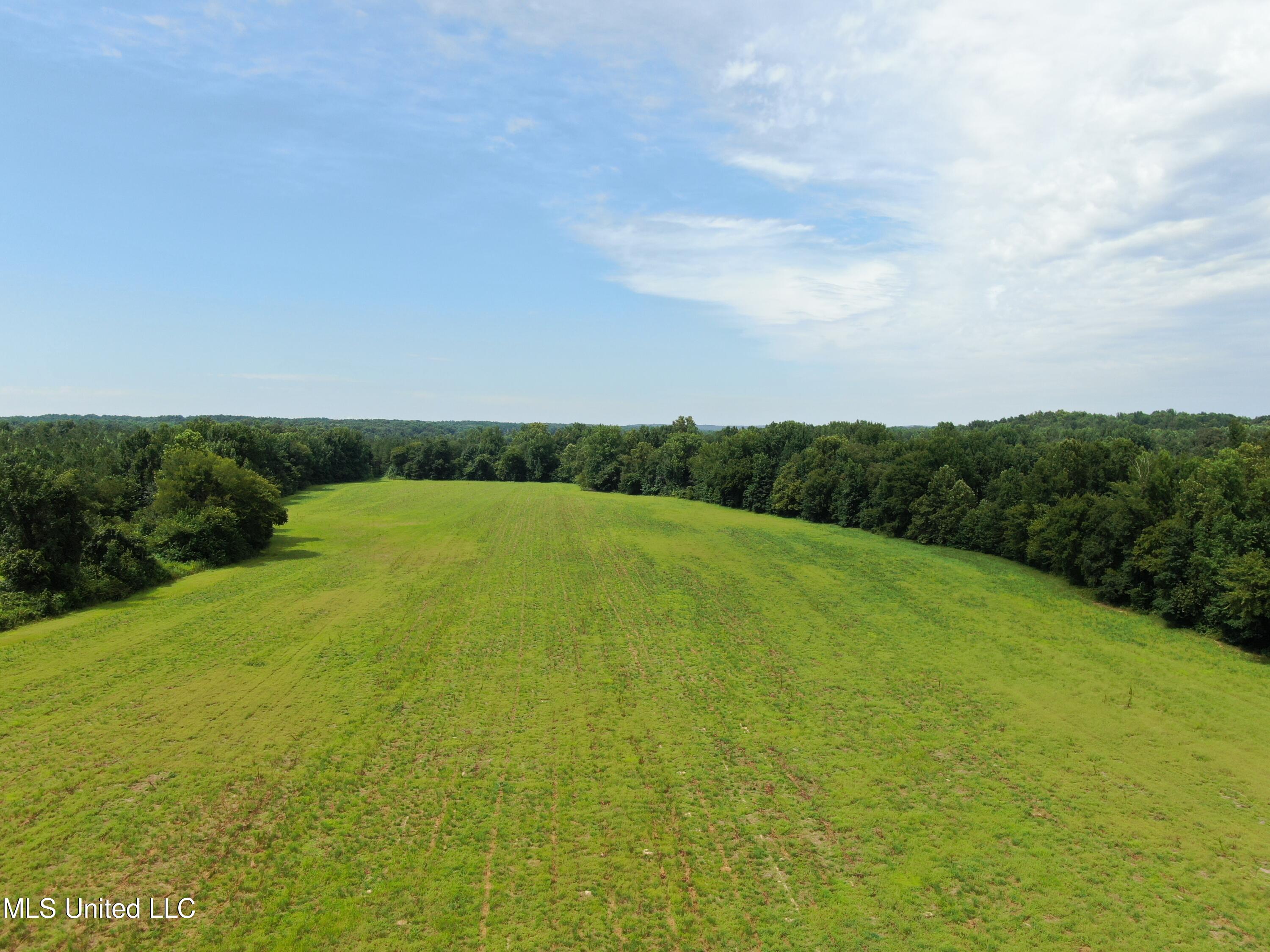 1000 Yarbrough Chapel Road Holly Springs, MS 38635 - Photo 4 of 50 DJI_0986