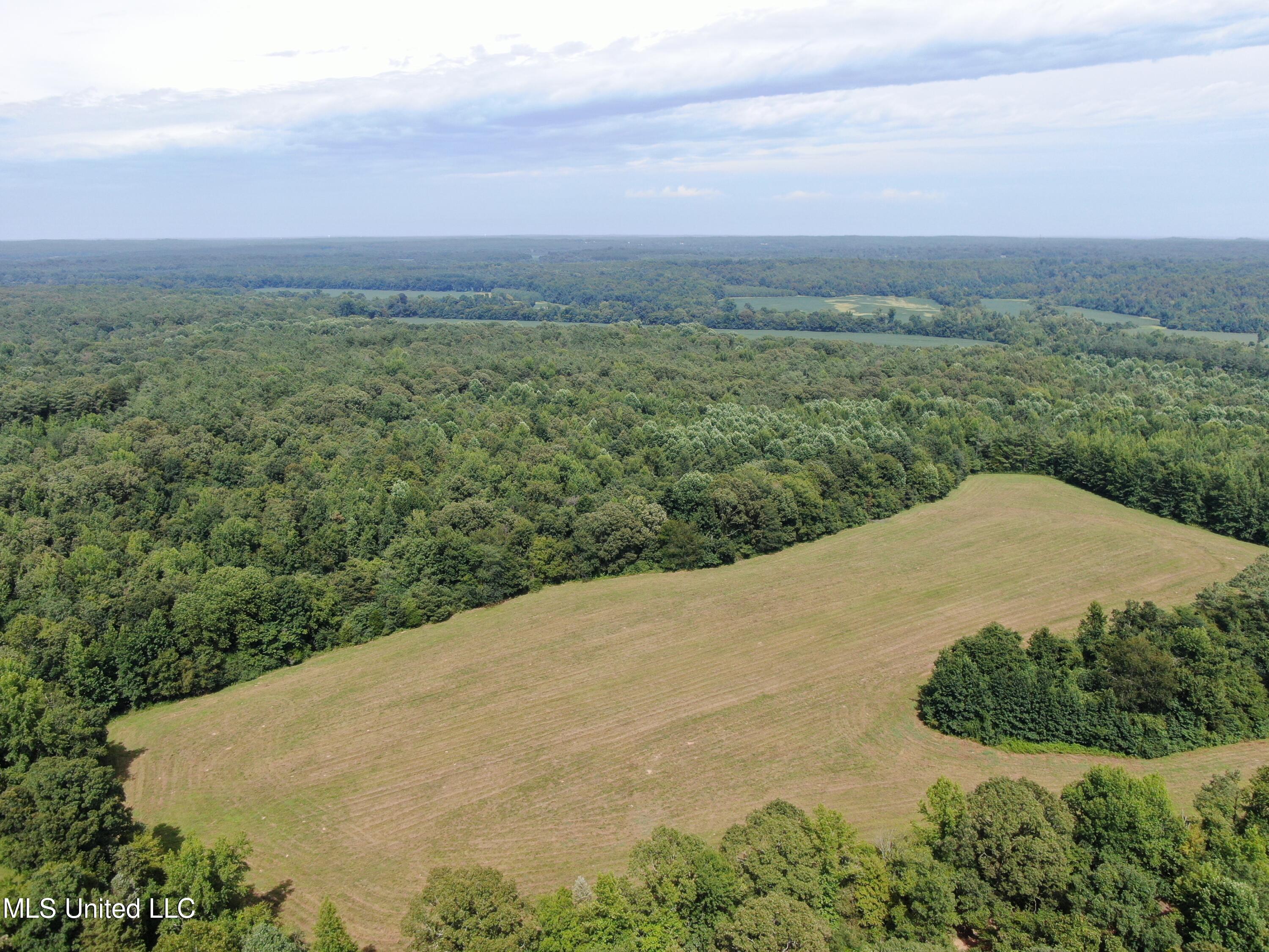1000 Yarbrough Chapel Road Holly Springs, MS 38635 - Photo 5 of 50 DJI_0989