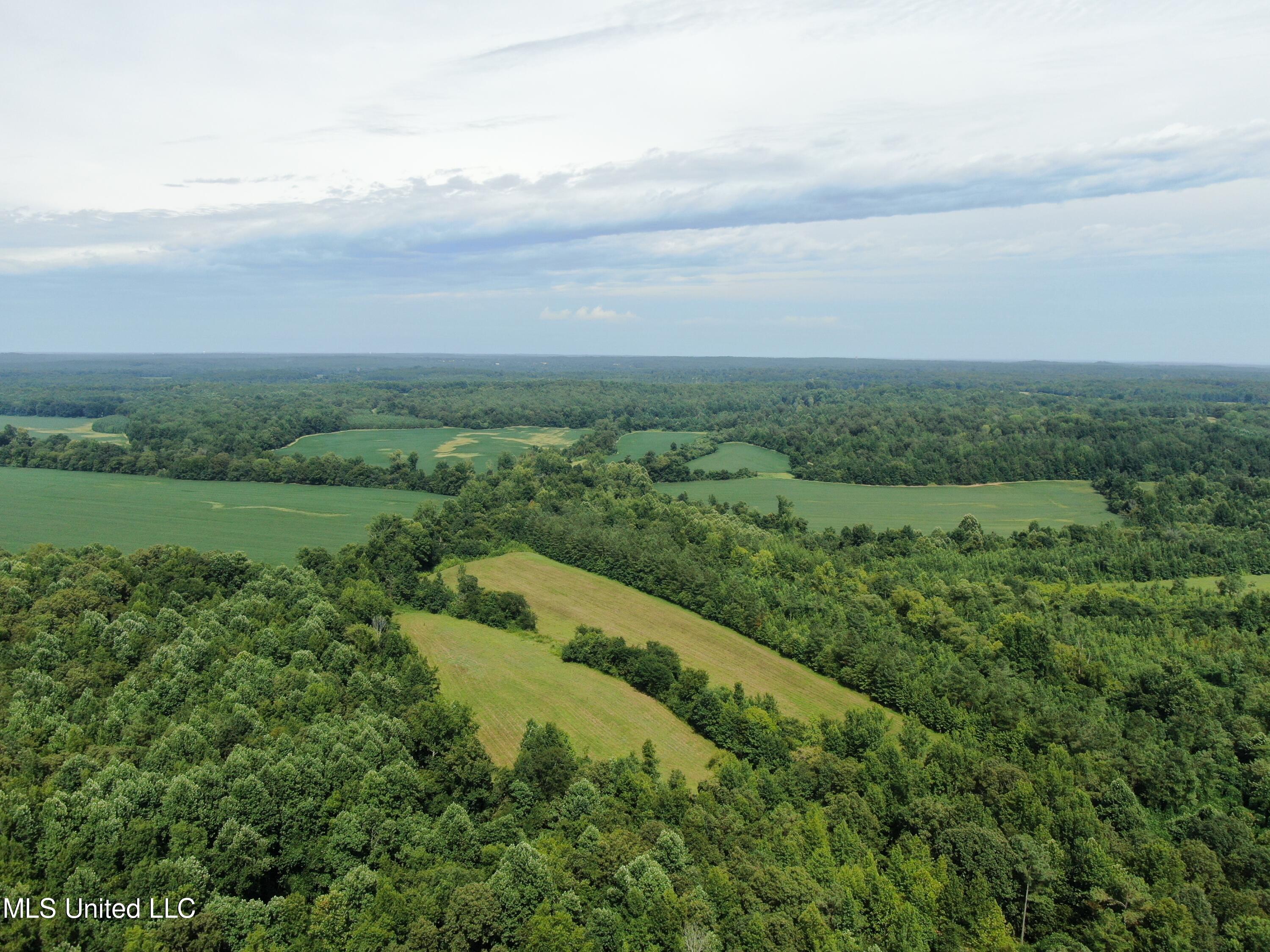 1000 Yarbrough Chapel Road Holly Springs, MS 38635 - Photo 7 of 50 DJI_0993