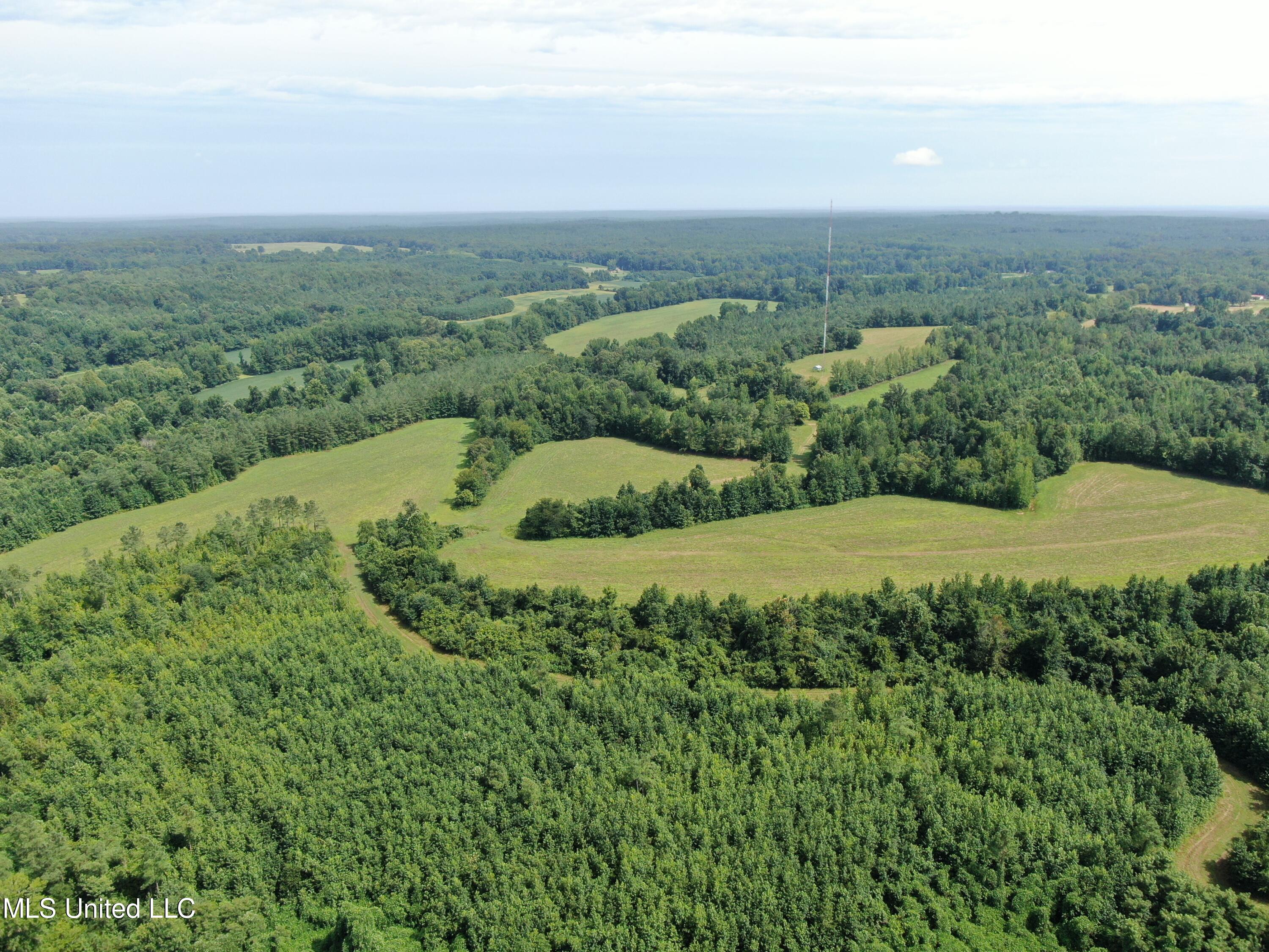 1000 Yarbrough Chapel Road Holly Springs, MS 38635 - Photo 8 of 50 DJI_0994