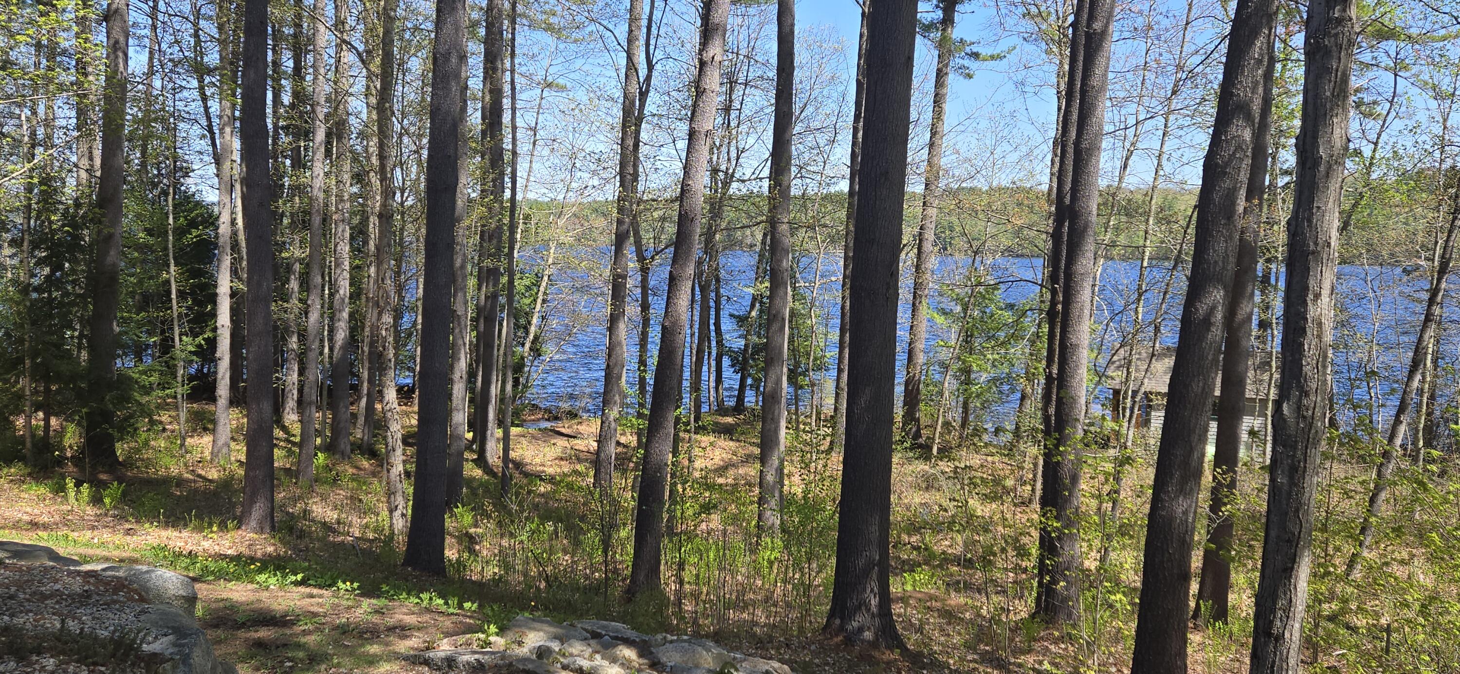 147 North High Street Bridgton, ME 04009 - Photo 45 of 53 20250511_111847