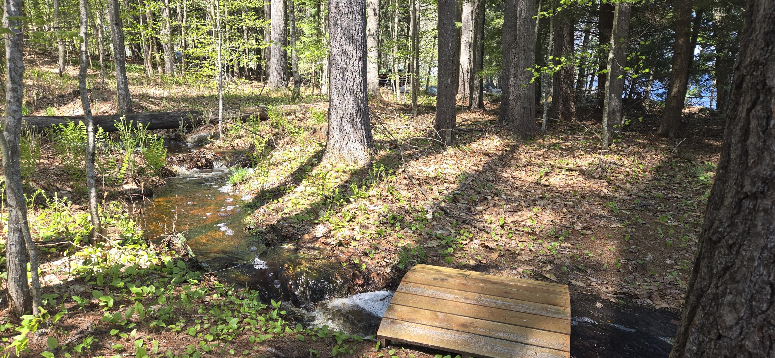 147 North High Street Bridgton, ME 04009 - Photo 48 of 53 20250511_112048