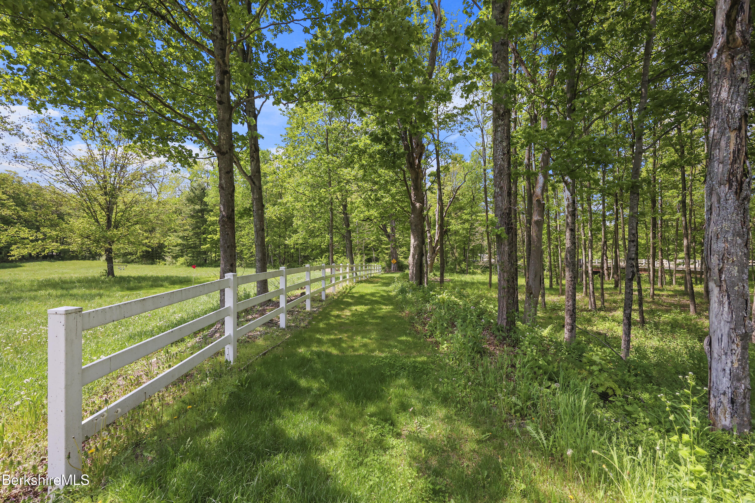 295 Blair Road Williamstown, MA 01267 - Photo 87 of 115 a view of outdoor space and yard