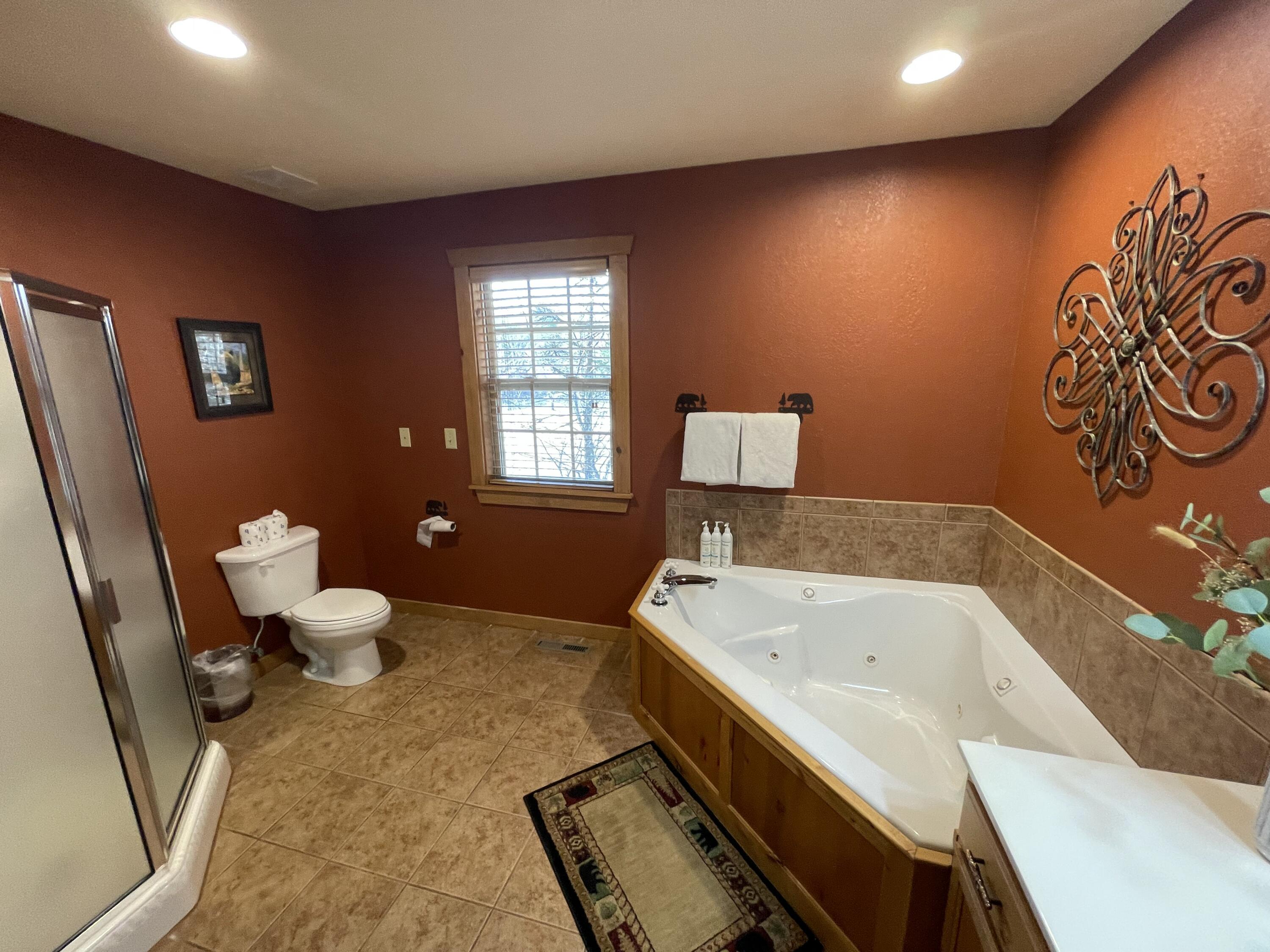 101 Lost Creek Circle, Unit 5 Reeds Spring, MO 65737 - Photo 30 of 46 Jetted Tub/Step In Shower