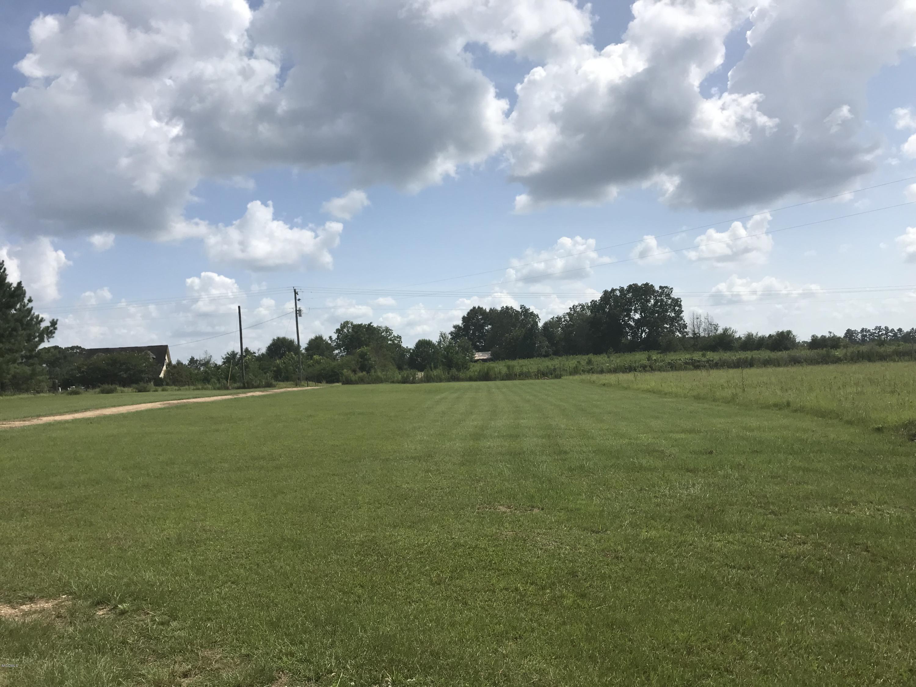 107 Edmond Jones Road Lumberton, MS 39455 - Photo 1 of 17 IMG_6685