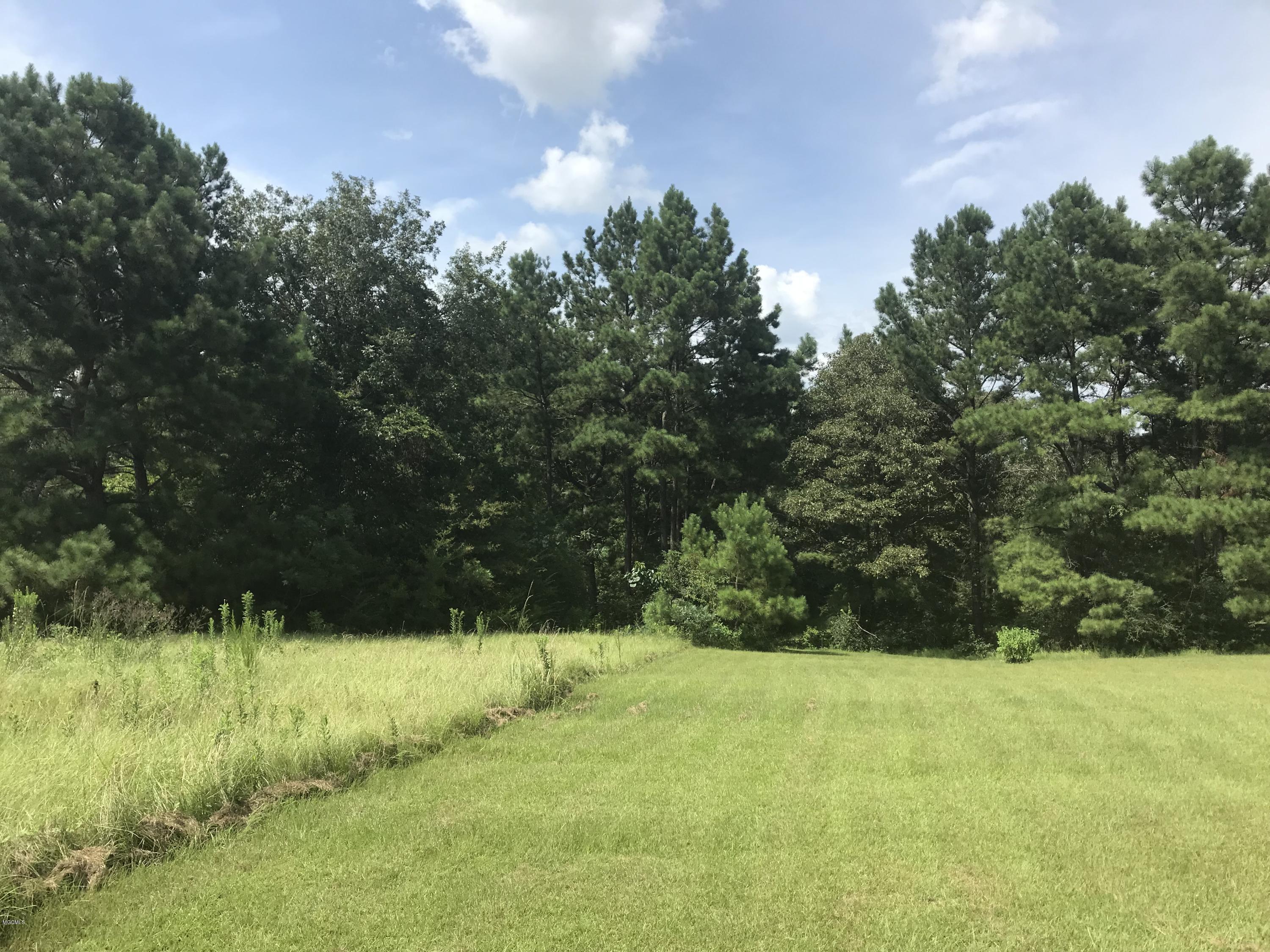 107 Edmond Jones Road Lumberton, MS 39455 - Photo 4 of 17 IMG_6688