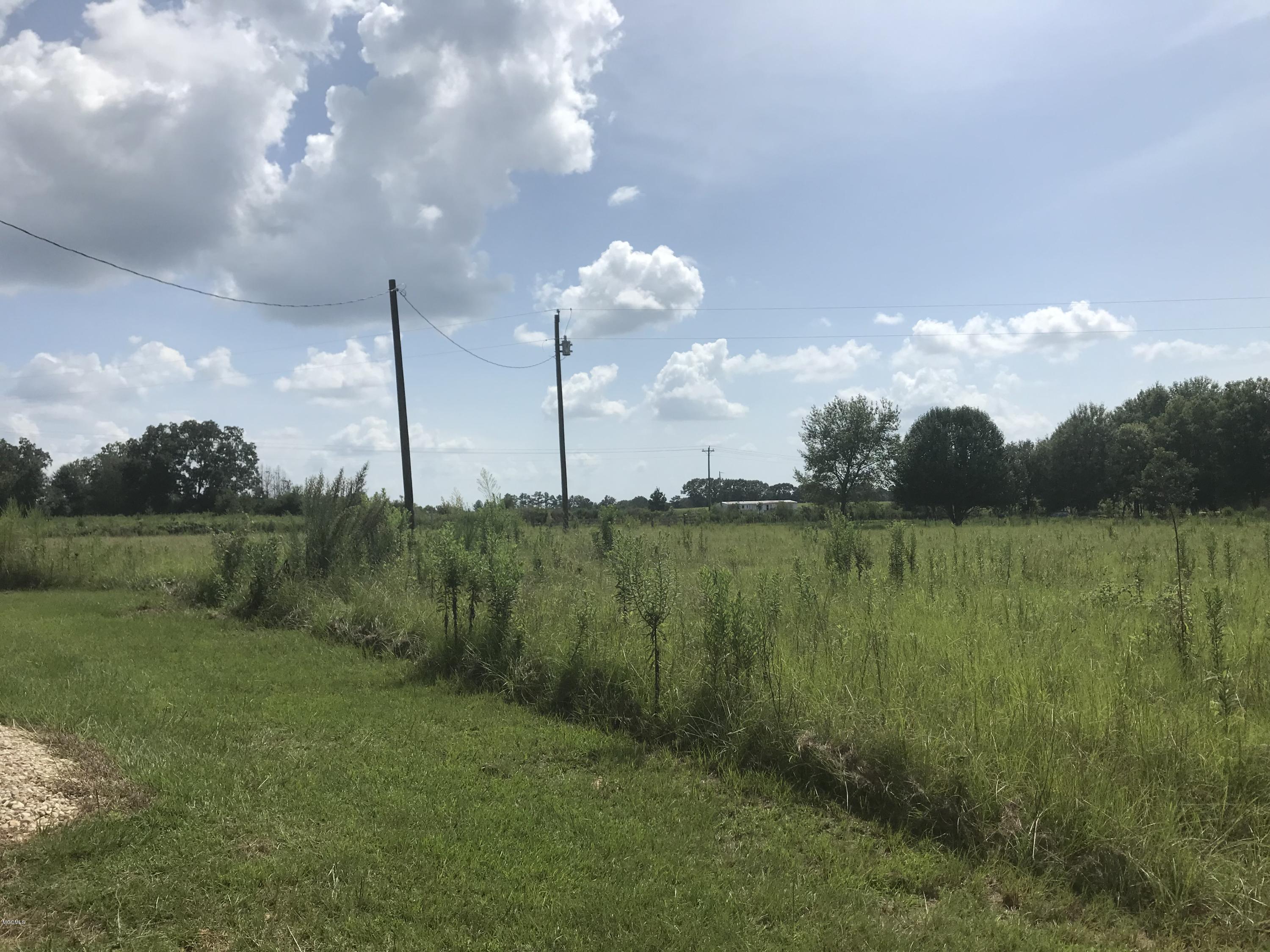 107 Edmond Jones Road Lumberton, MS 39455 - Photo 5 of 17 IMG_6691