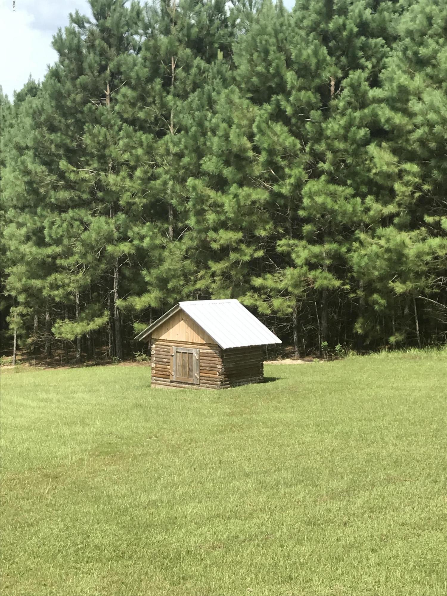 107 Edmond Jones Road Lumberton, MS 39455 - Photo 6 of 17 IMG_6695