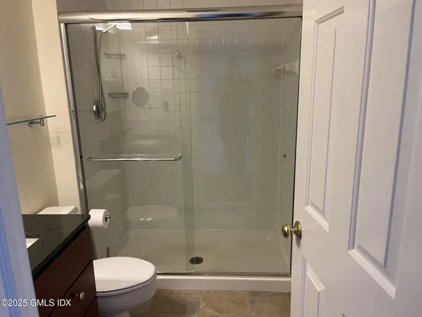 a bathroom with a shower and a toilet