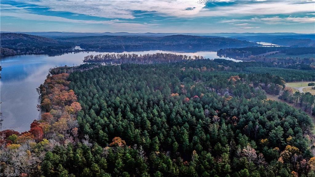 1 State Highway 49 Denton, NC 27239 - Photo 4 of 12