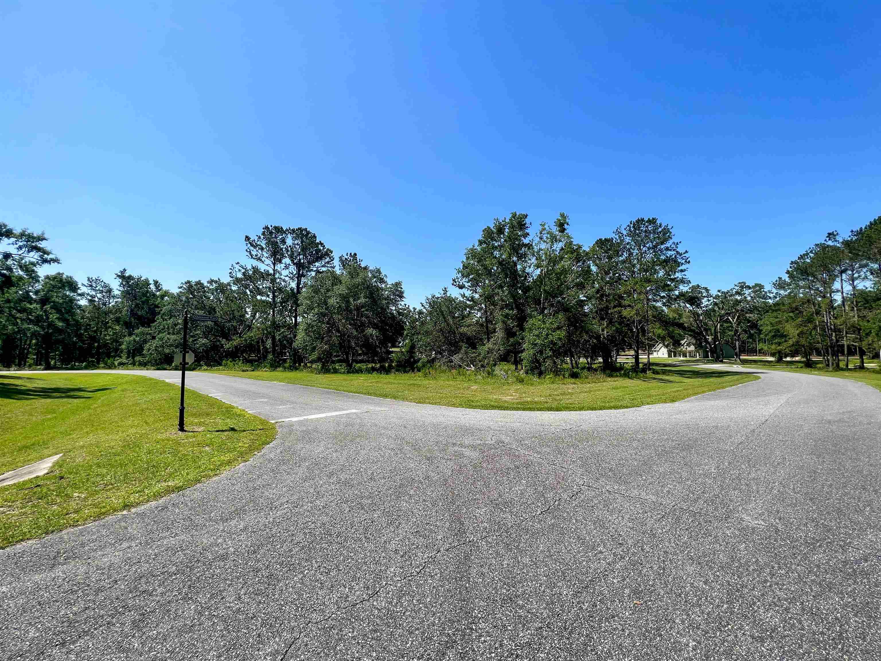 Lot 4 Northeast Ne Highway Pinetta, FL 32350 - Photo 2 of 10