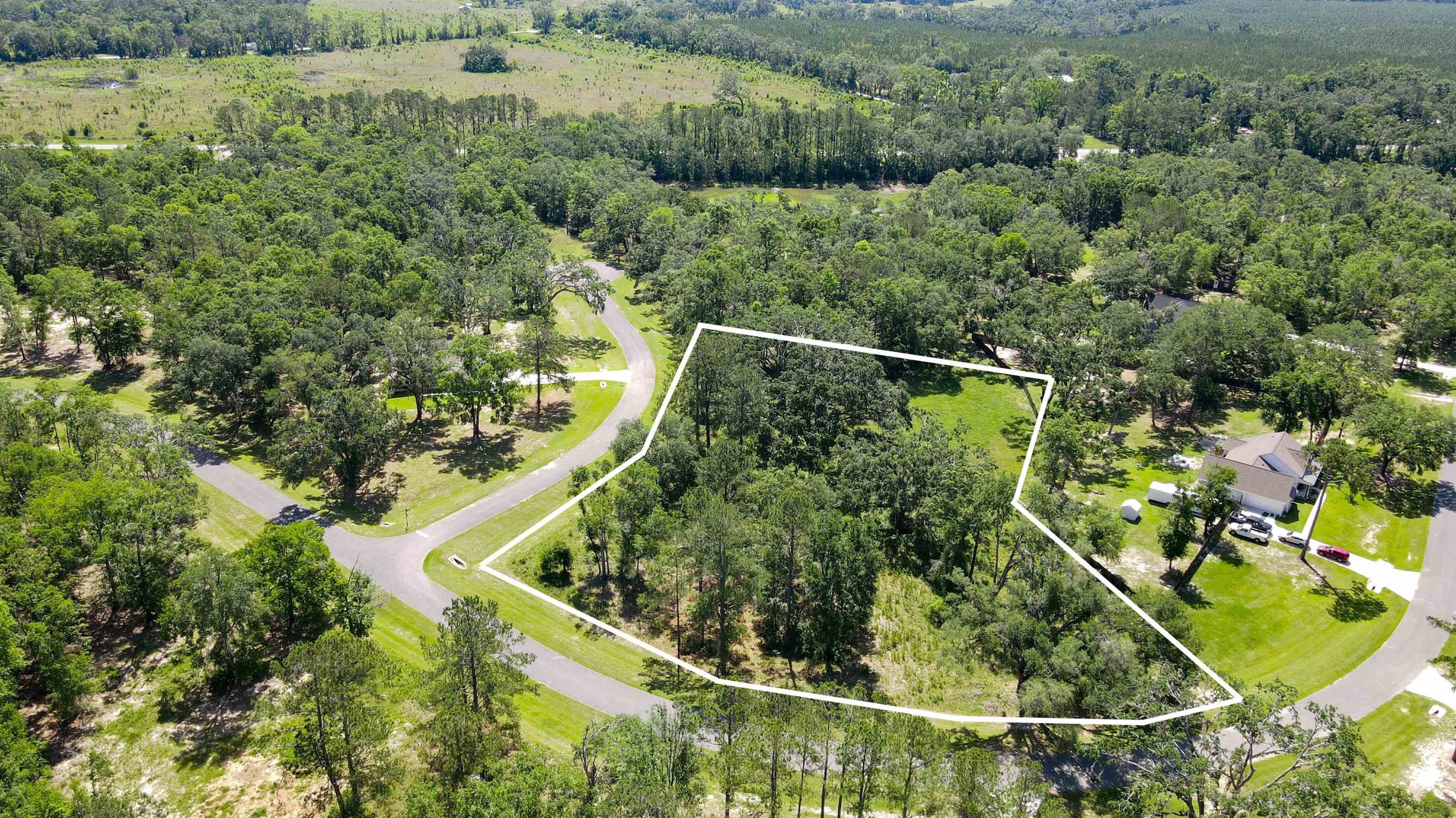 Lot 4 Northeast Ne Highway Pinetta, FL 32350 - Photo 3 of 10